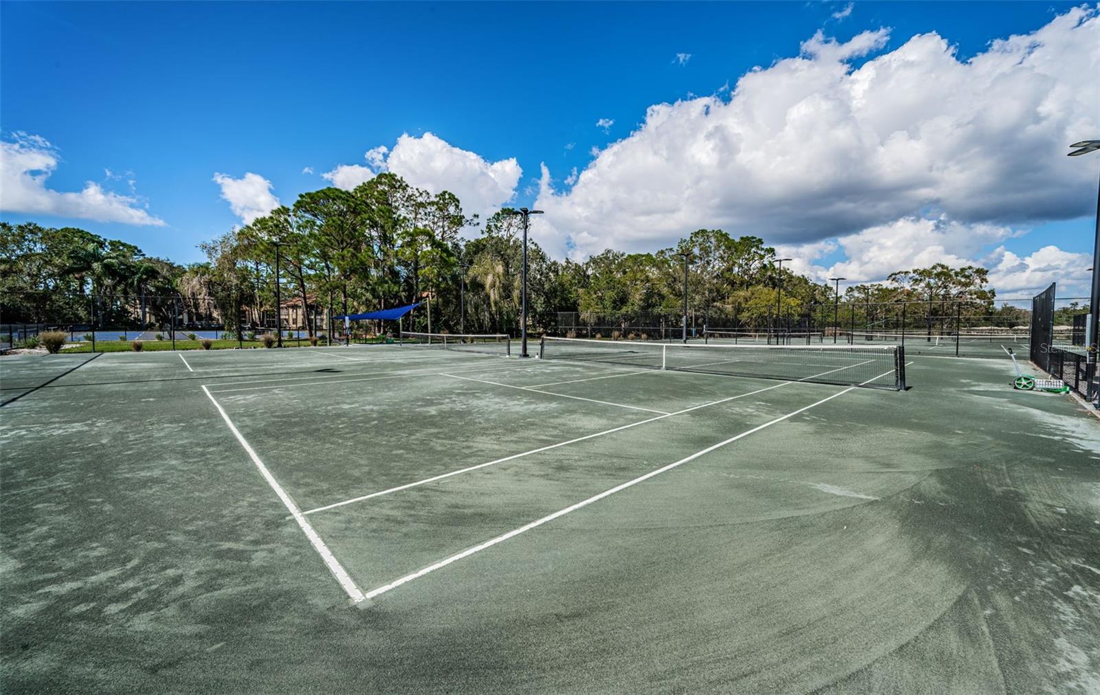 575 HICKORYNUT AVE, OLDSMAR, FL, 34677