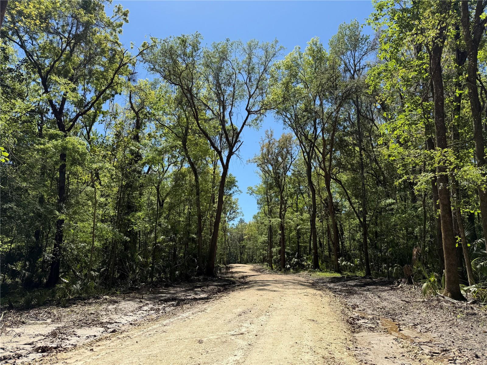 43ac NW 193RD ST, REDDICK, FL, 32686