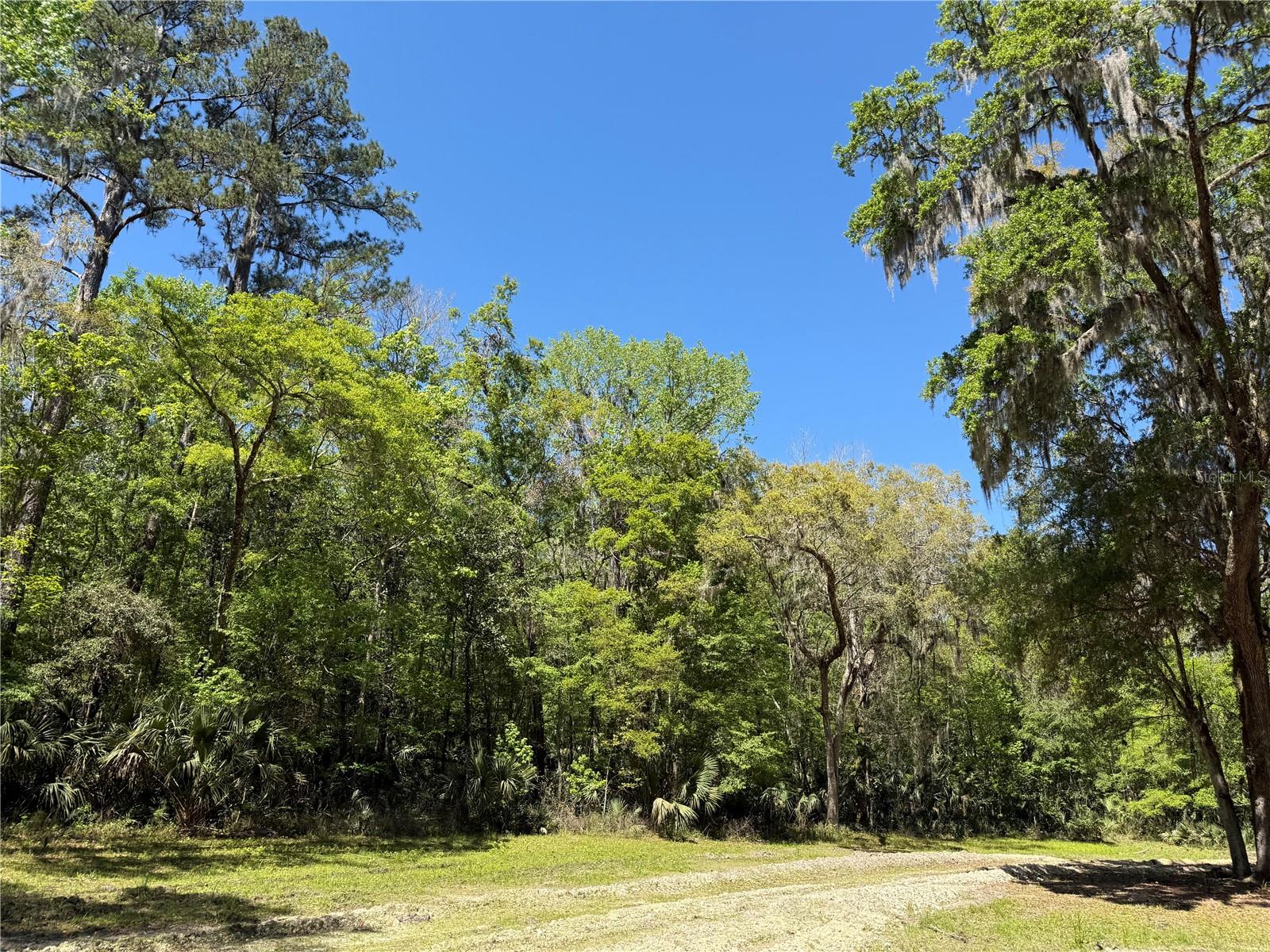 43ac NW 193RD ST, REDDICK, FL, 32686
