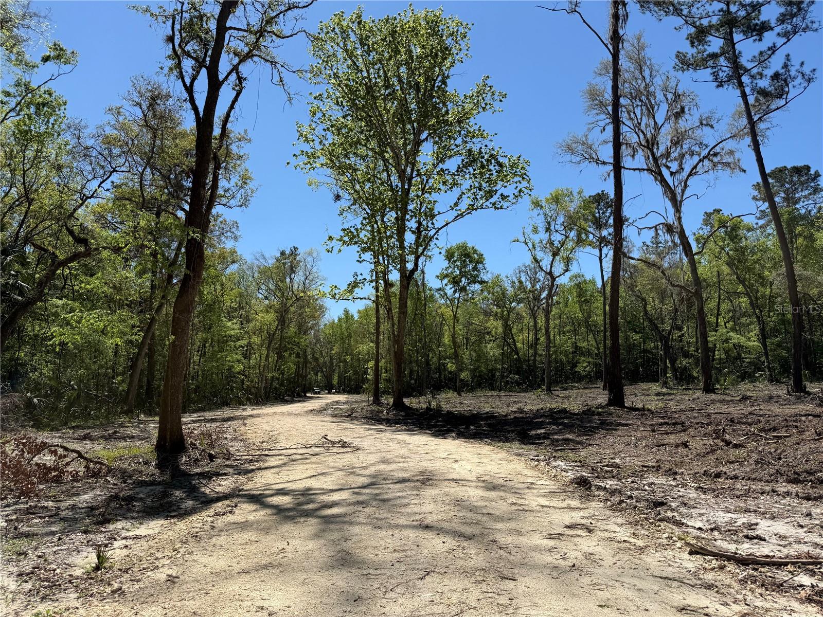 43ac NW 193RD ST, REDDICK, FL, 32686