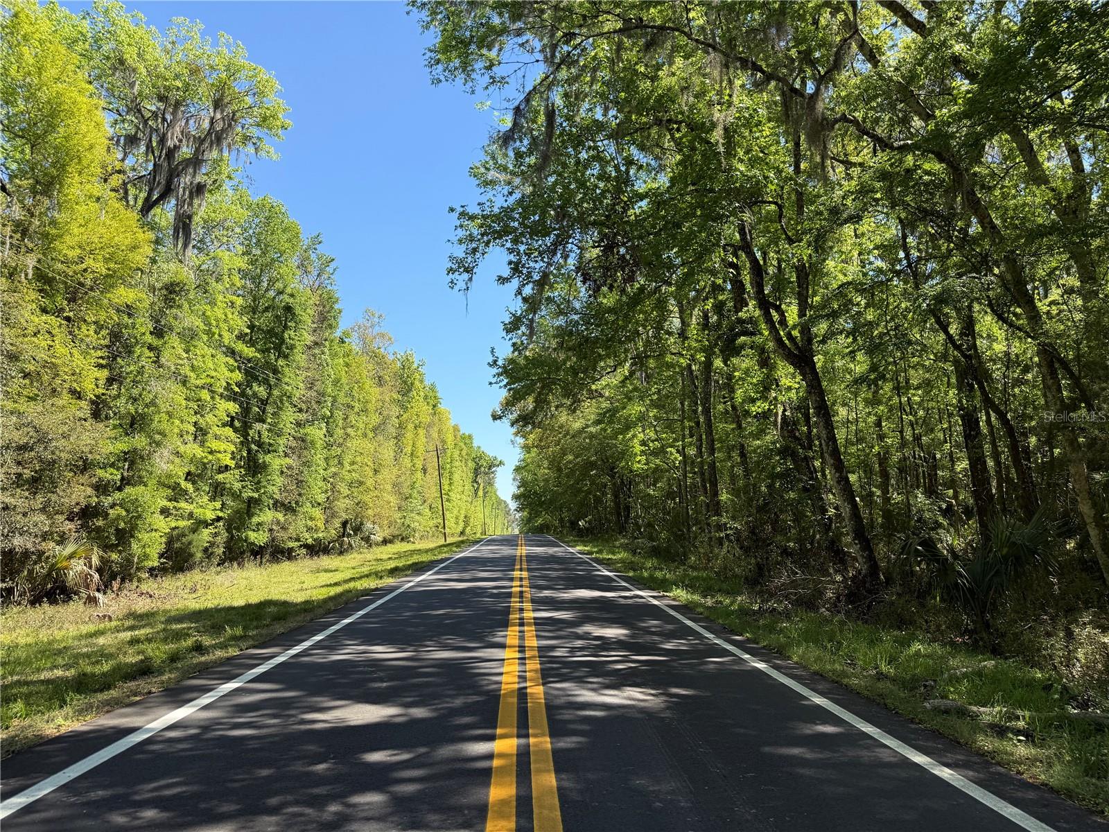 43ac NW 193RD ST, REDDICK, FL, 32686