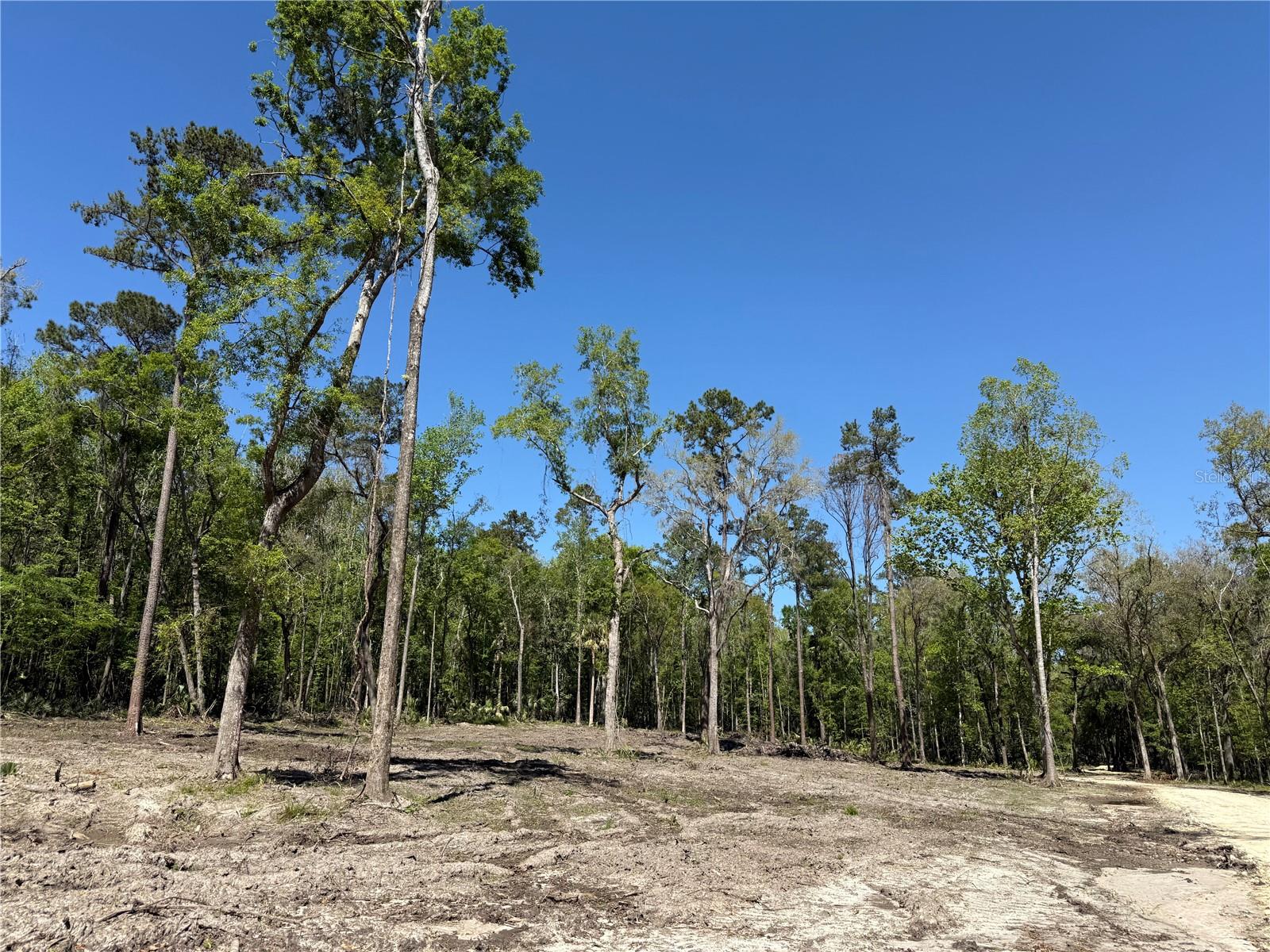 43ac NW 193RD ST, REDDICK, FL, 32686