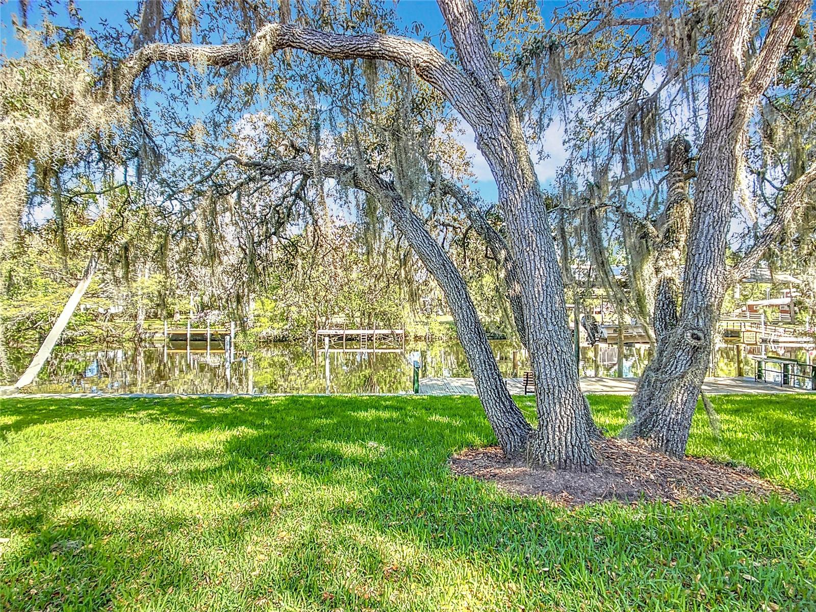 11405 N HONEY JORDEN PT, INGLIS, FL, 34449