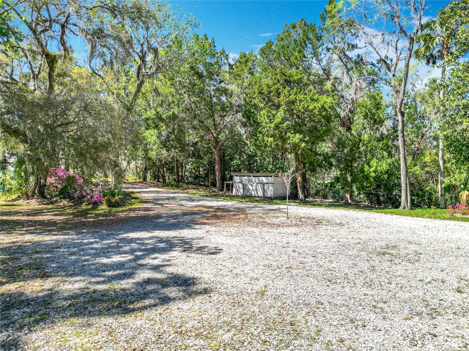 11405 N HONEY JORDEN PT, INGLIS, FL, 34449