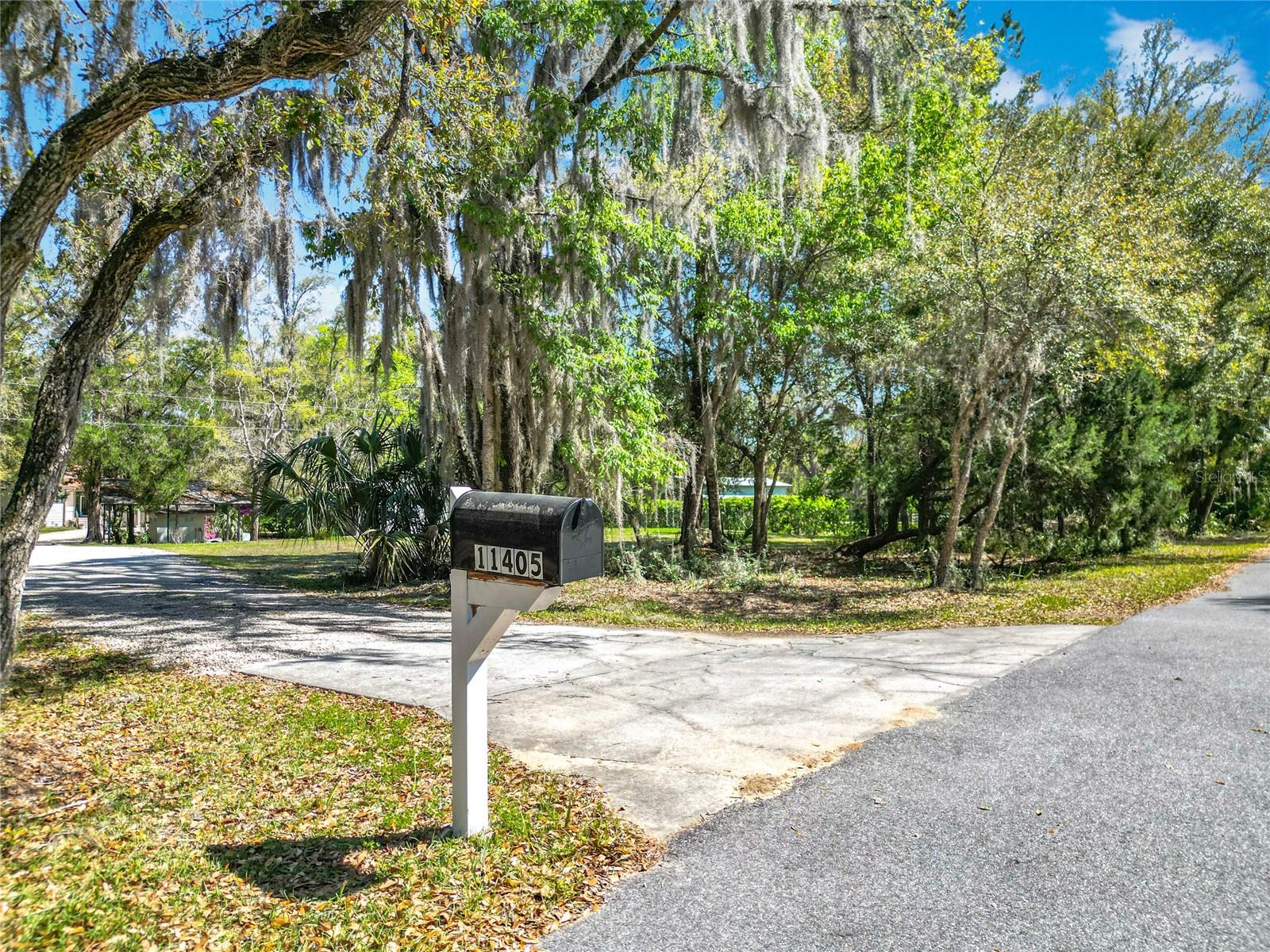 11405 N HONEY JORDEN PT, INGLIS, FL, 34449