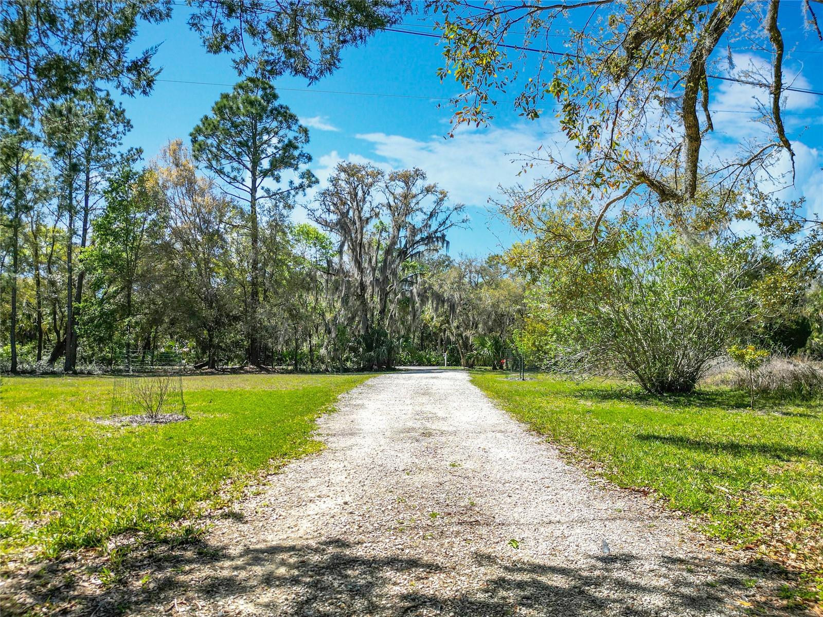 11405 N HONEY JORDEN PT, INGLIS, FL, 34449