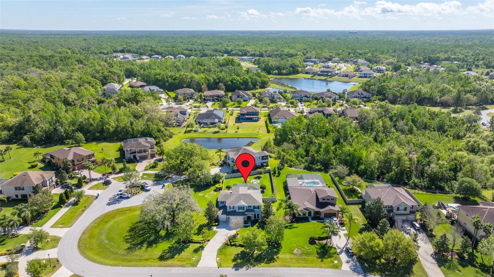 17909 HOWSMOOR PL, LUTZ, FL, 33559