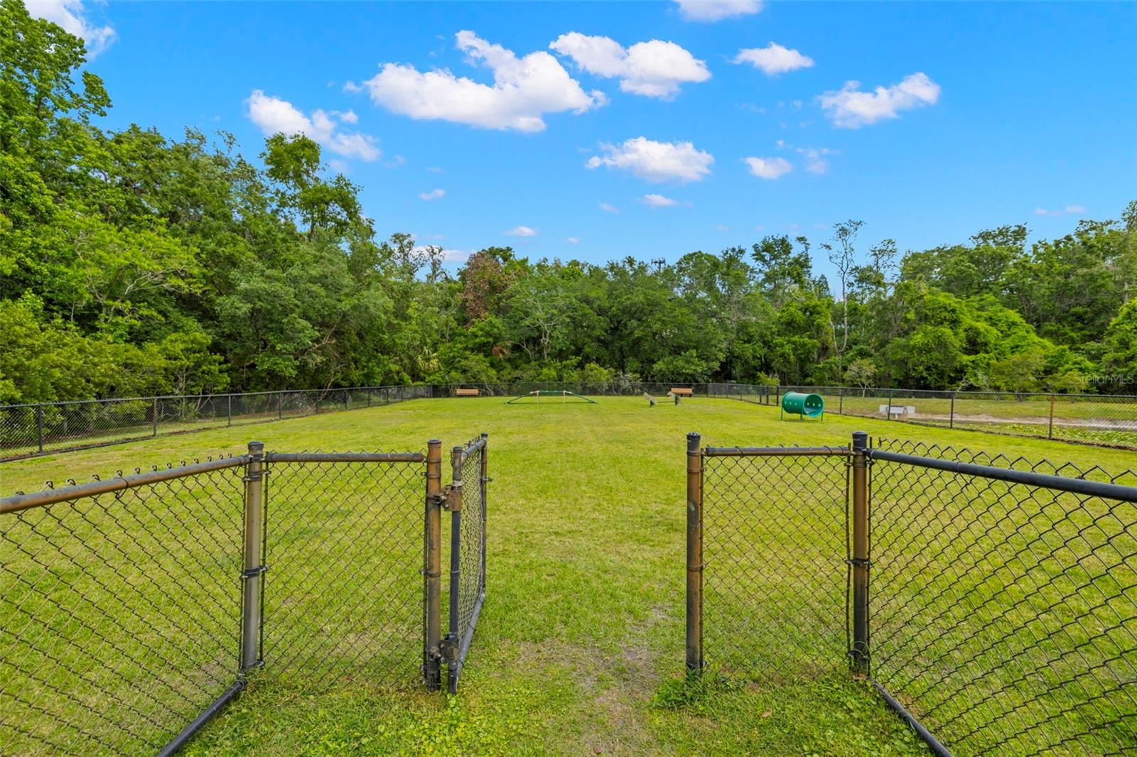 17909 HOWSMOOR PL, LUTZ, FL, 33559