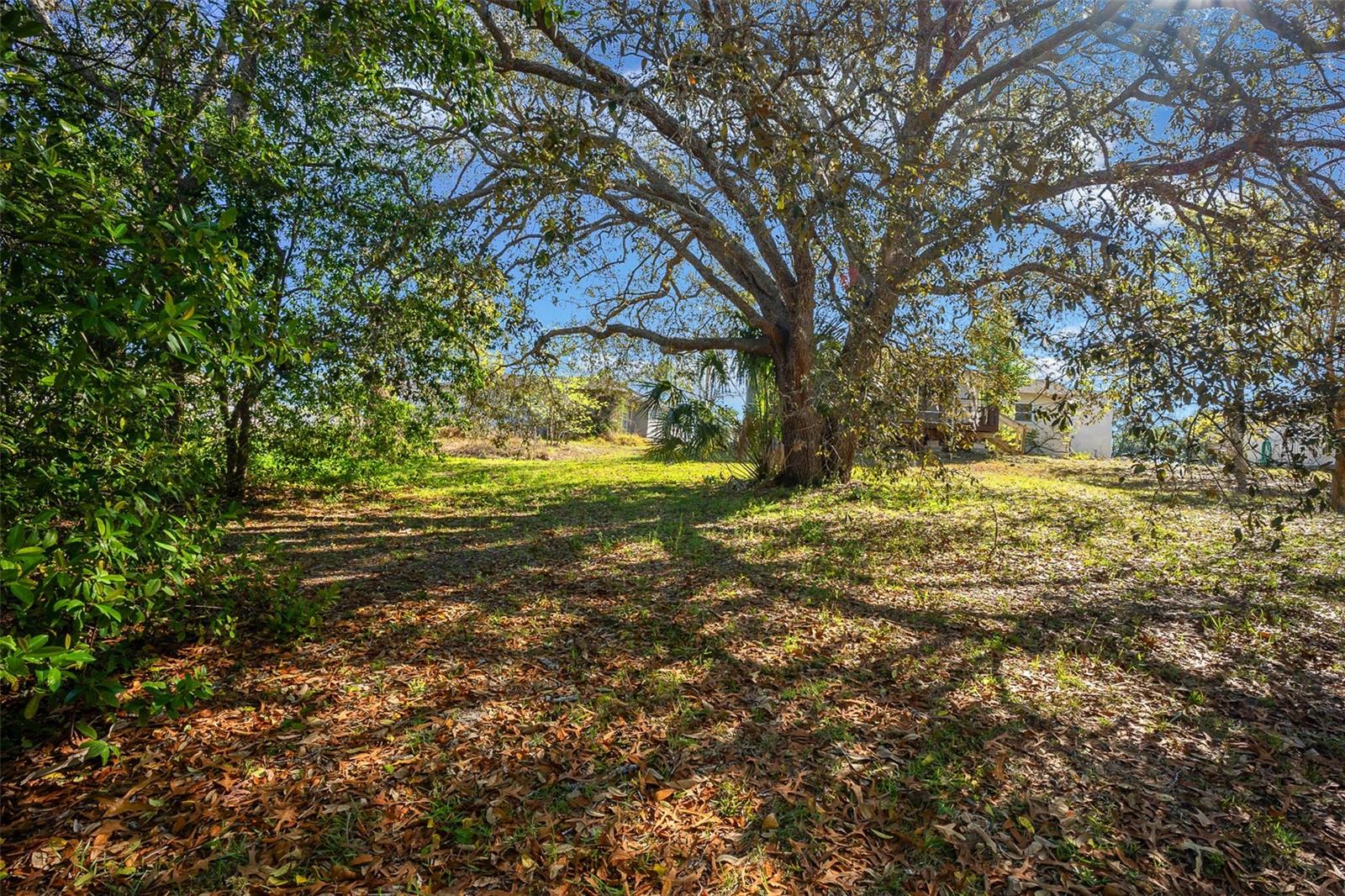 2039 BELMAR AVE, SPRING HILL, FL, 34608