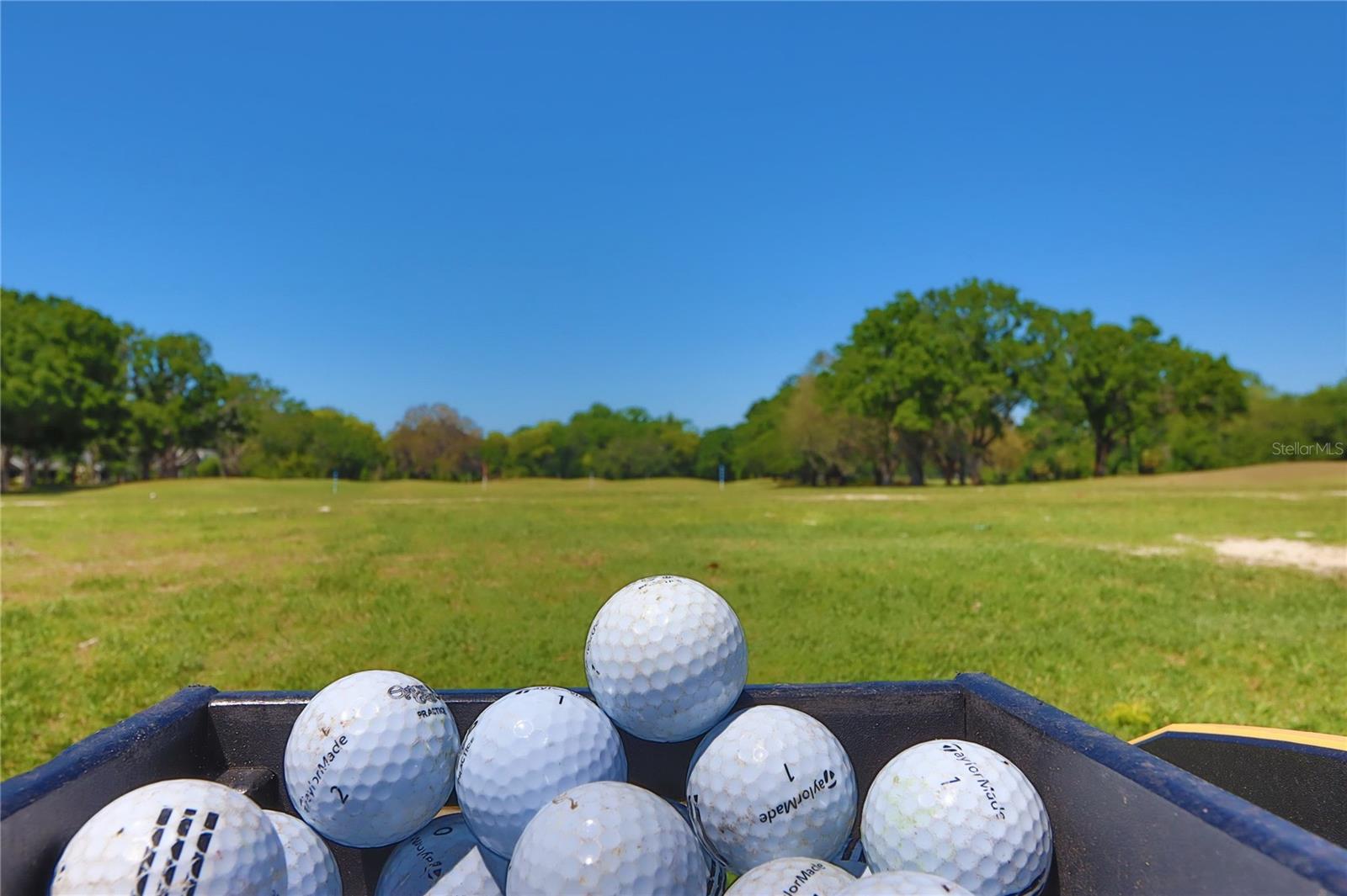 1093 MUIRFIELD CT, TARPON SPRINGS, FL, 34688