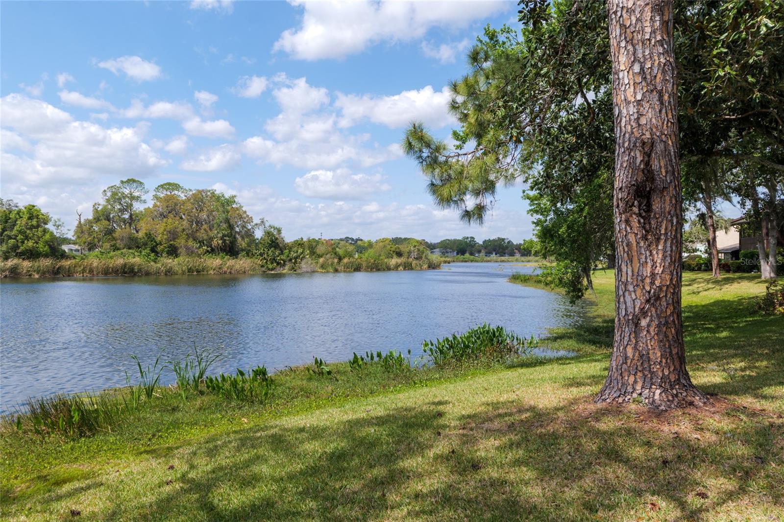 661 MIDWAY DR #B, OCALA, FL, 34472