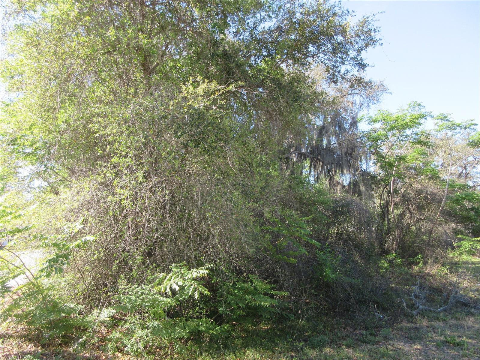 0 SE 188TH AVE, SILVER SPRINGS, FL, 34488