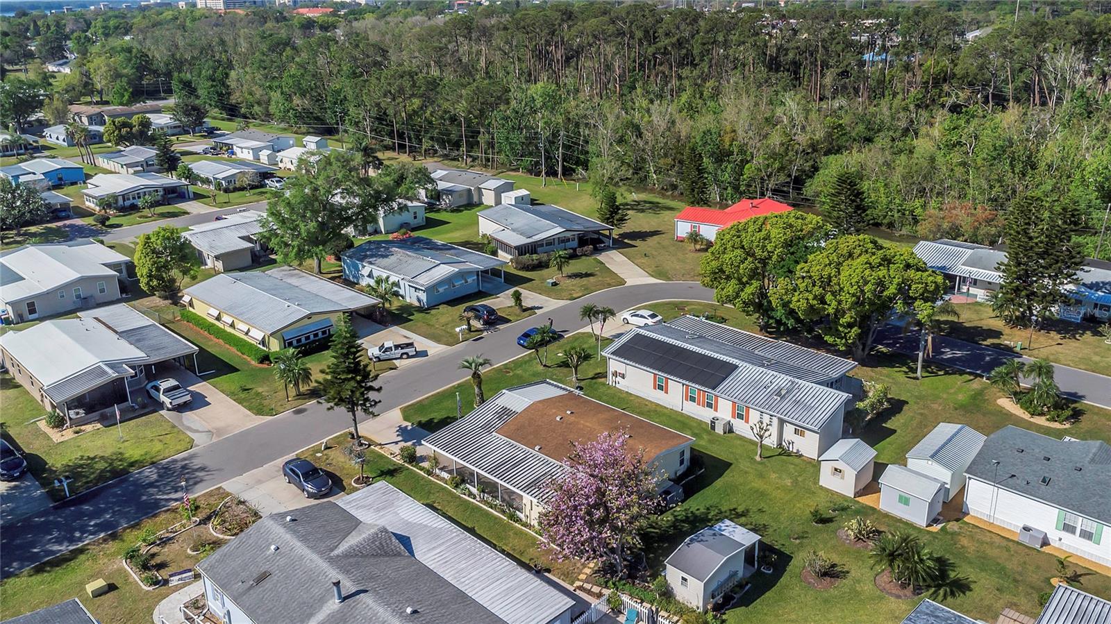 1408 SCHULT CT, TAVARES, FL, 32778