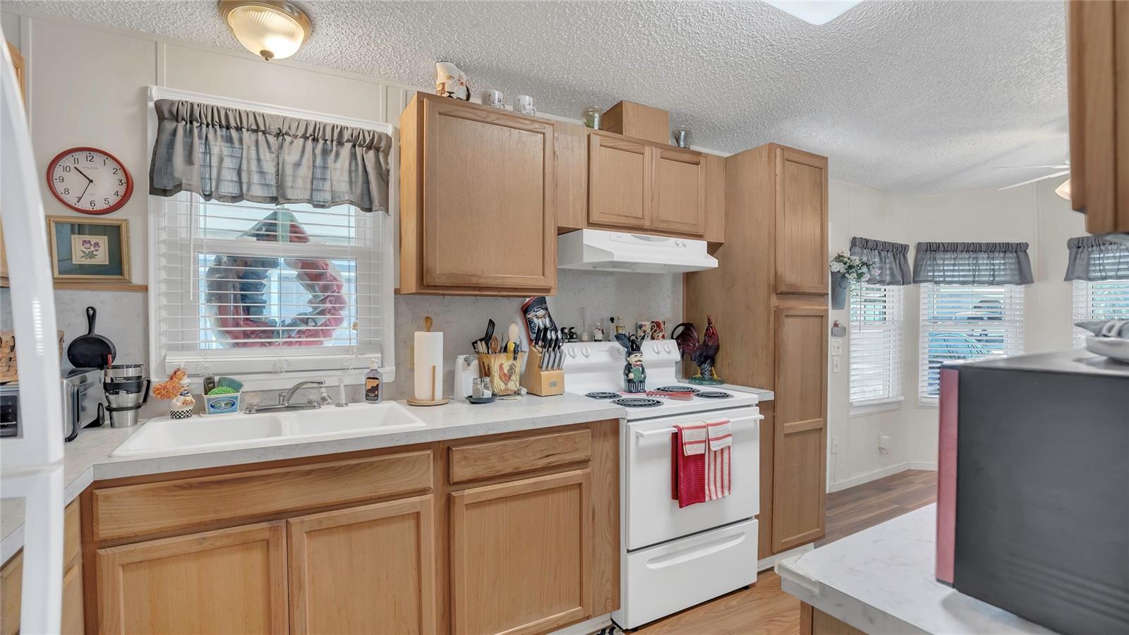 1408 SCHULT CT, TAVARES, FL, 32778