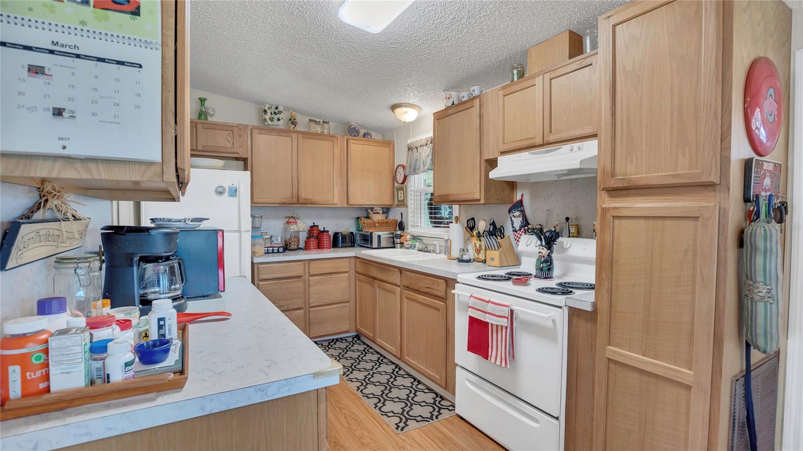 1408 SCHULT CT, TAVARES, FL, 32778