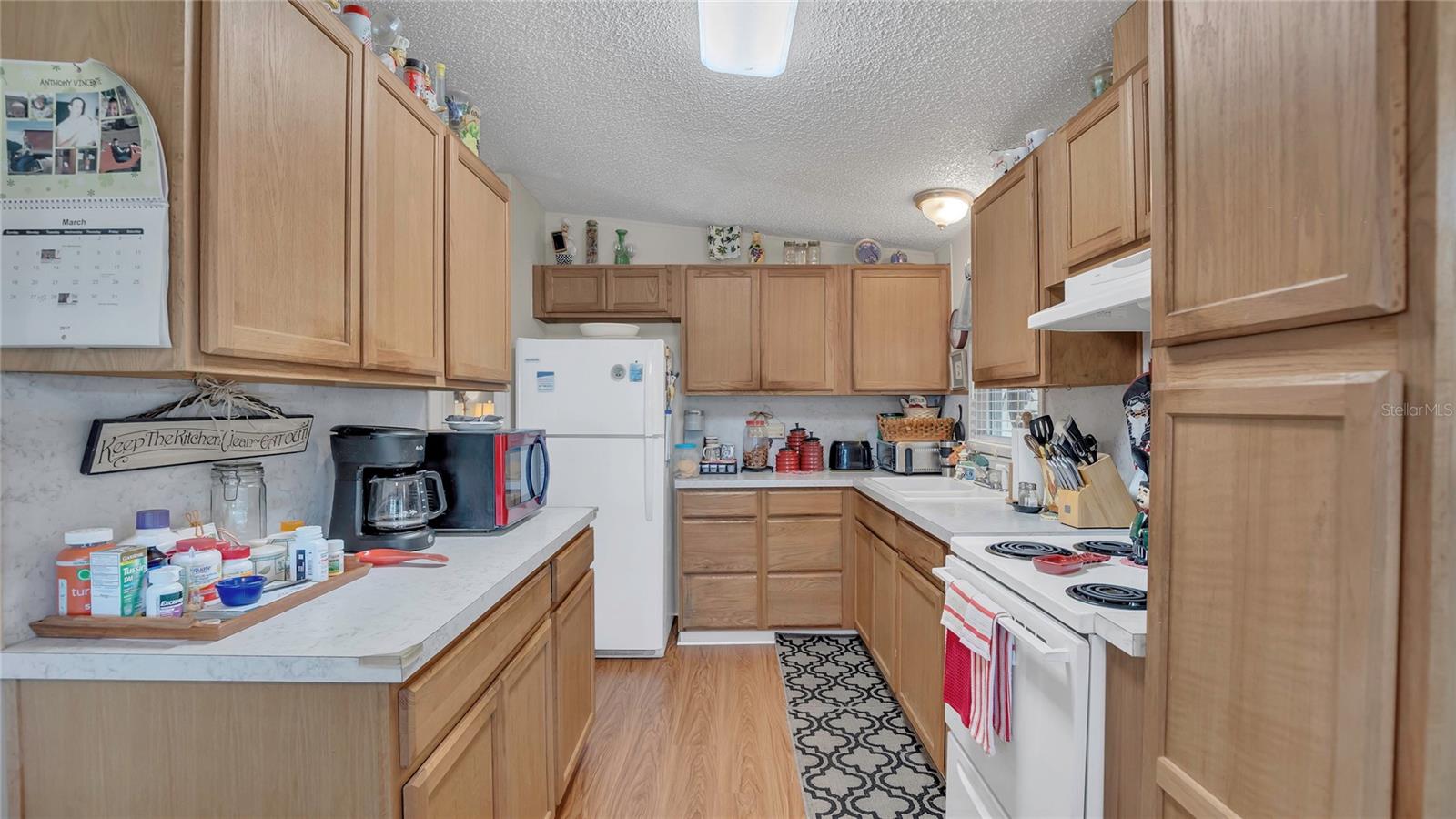 1408 SCHULT CT, TAVARES, FL, 32778