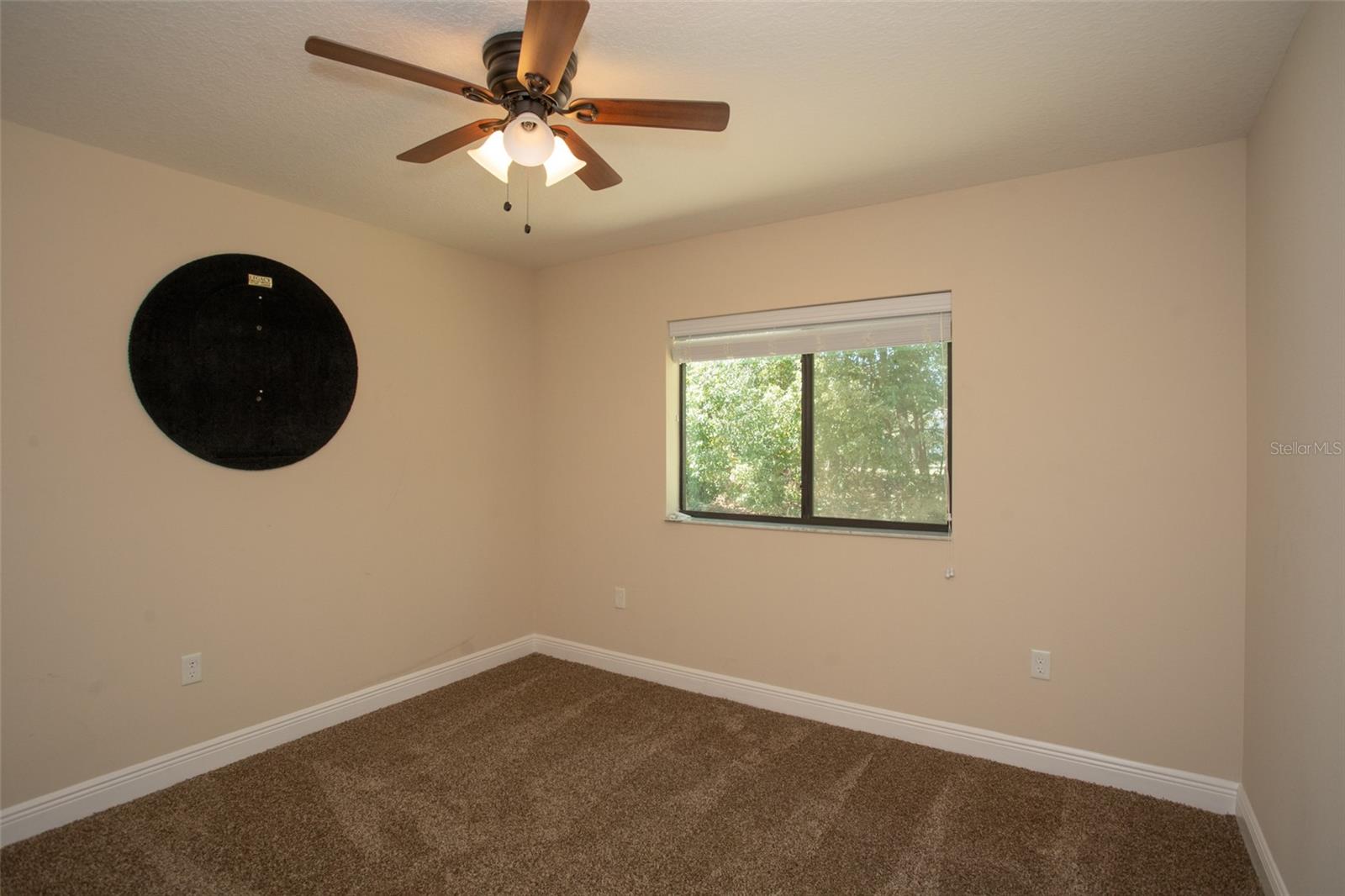 6527 GRAPEWOOD RD, SPRING HILL, FL, 34609