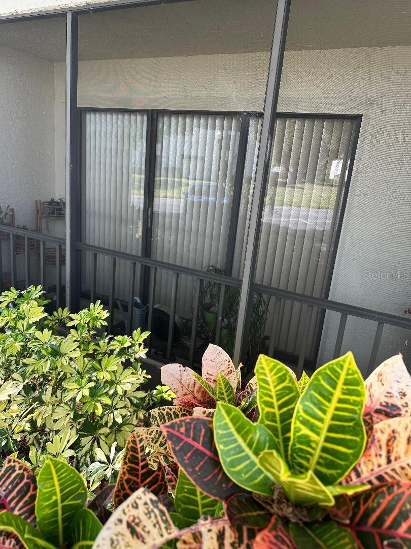 2643 PINE RIDGE WAY S #A1, PALM HARBOR, FL, 34684
