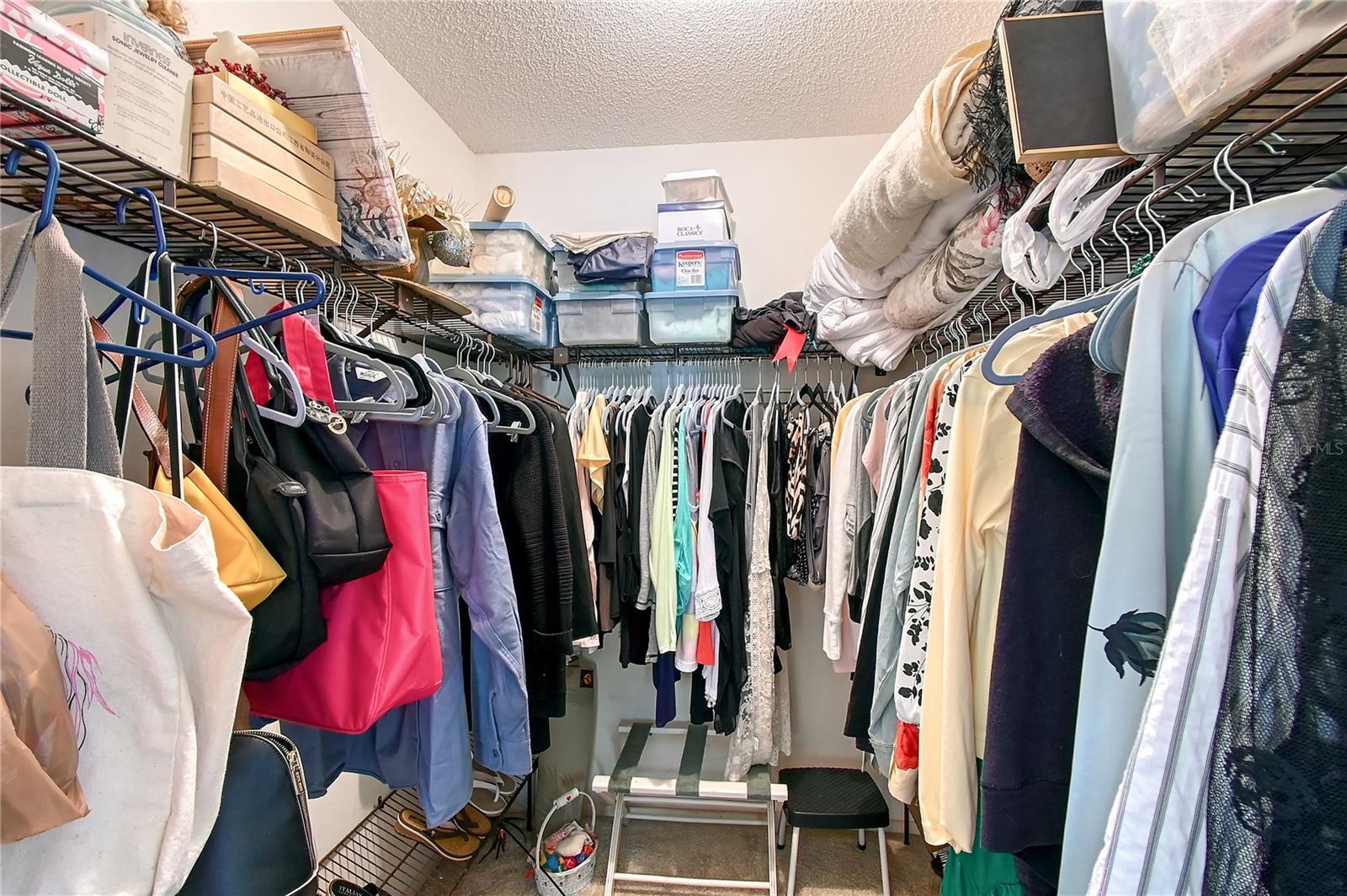 5458 CREEPING HAMMOCK CIR, SARASOTA, FL, 34231