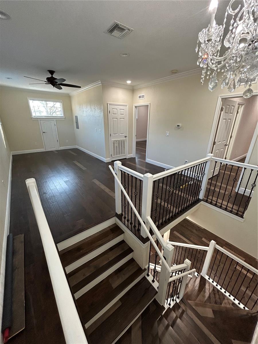 8006 N ROME AVE, TAMPA, FL, 33604