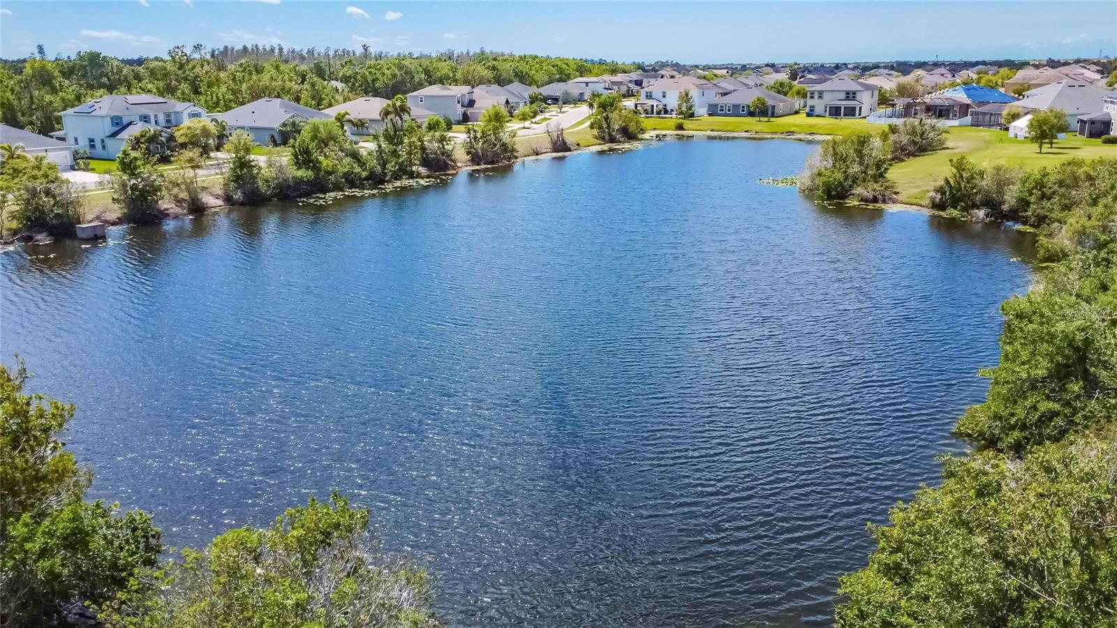 12427 BAY ESTUARY BND, RIVERVIEW, FL, 33579