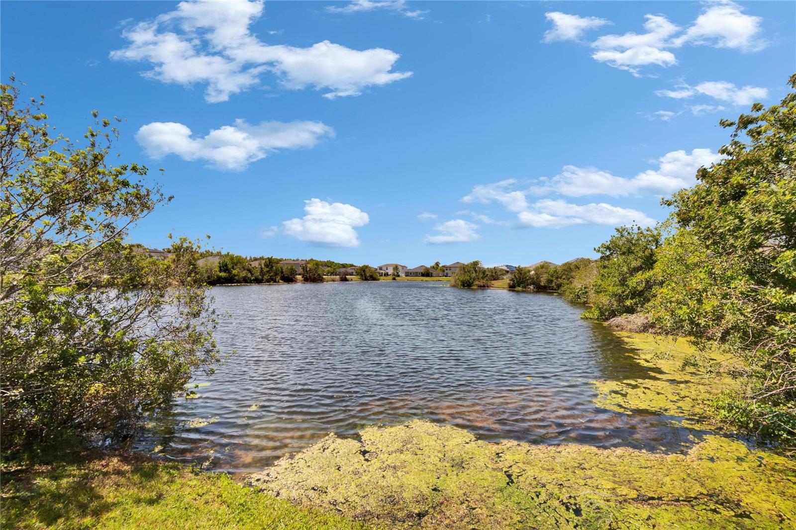 12427 BAY ESTUARY BND, RIVERVIEW, FL, 33579