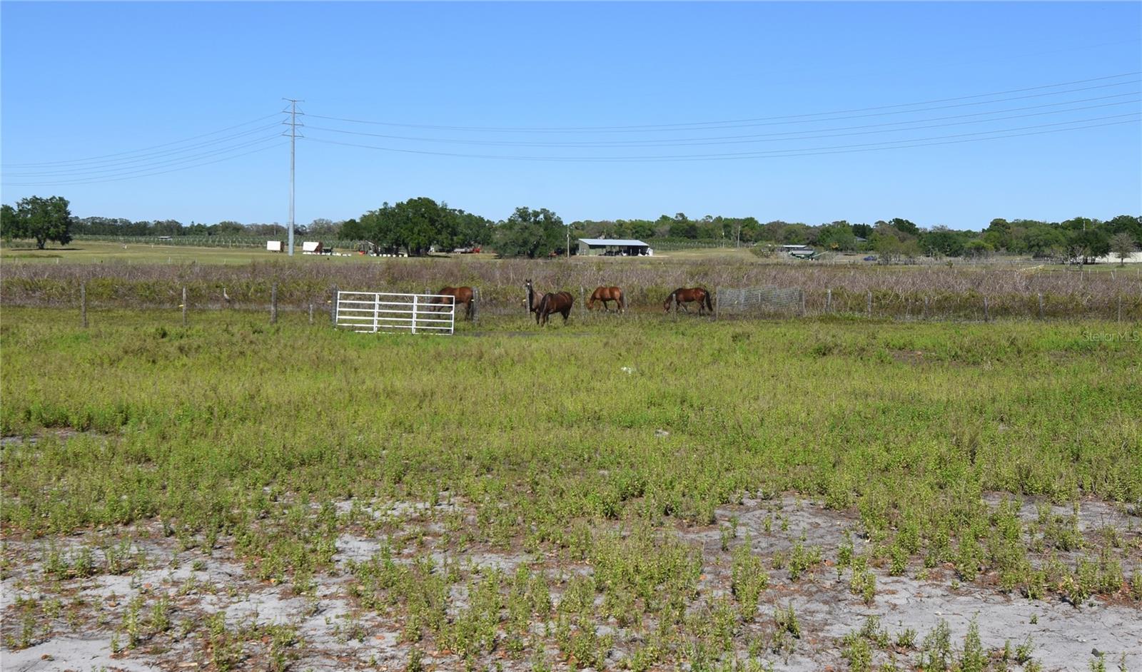 2855 POND VIEW DR, HAINES CITY, FL, 33844