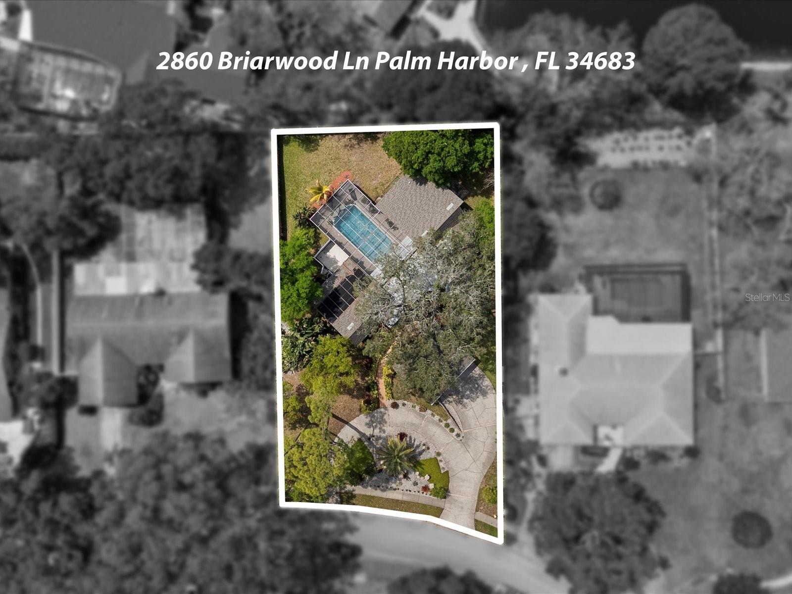 2860 BRIARWOOD LN, PALM HARBOR, FL, 34683