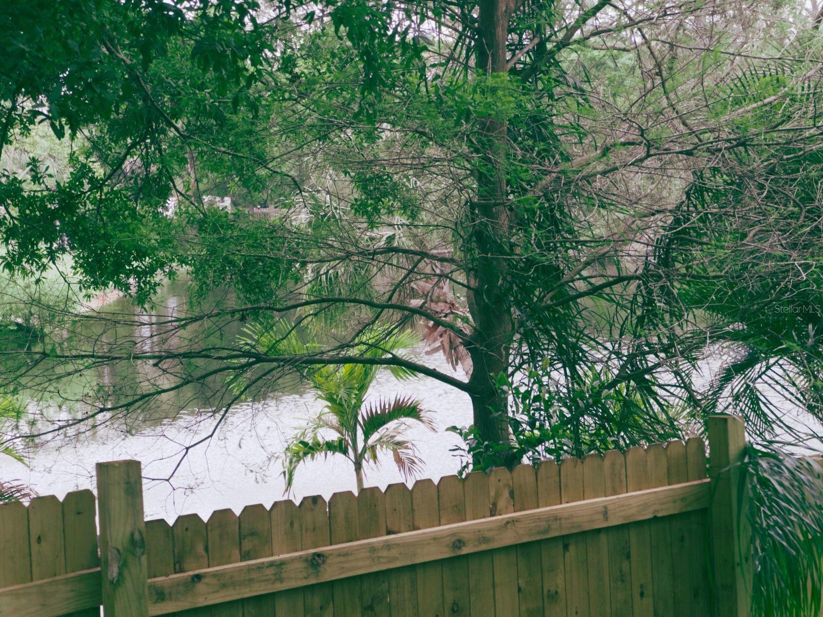 2860 BRIARWOOD LN, PALM HARBOR, FL, 34683