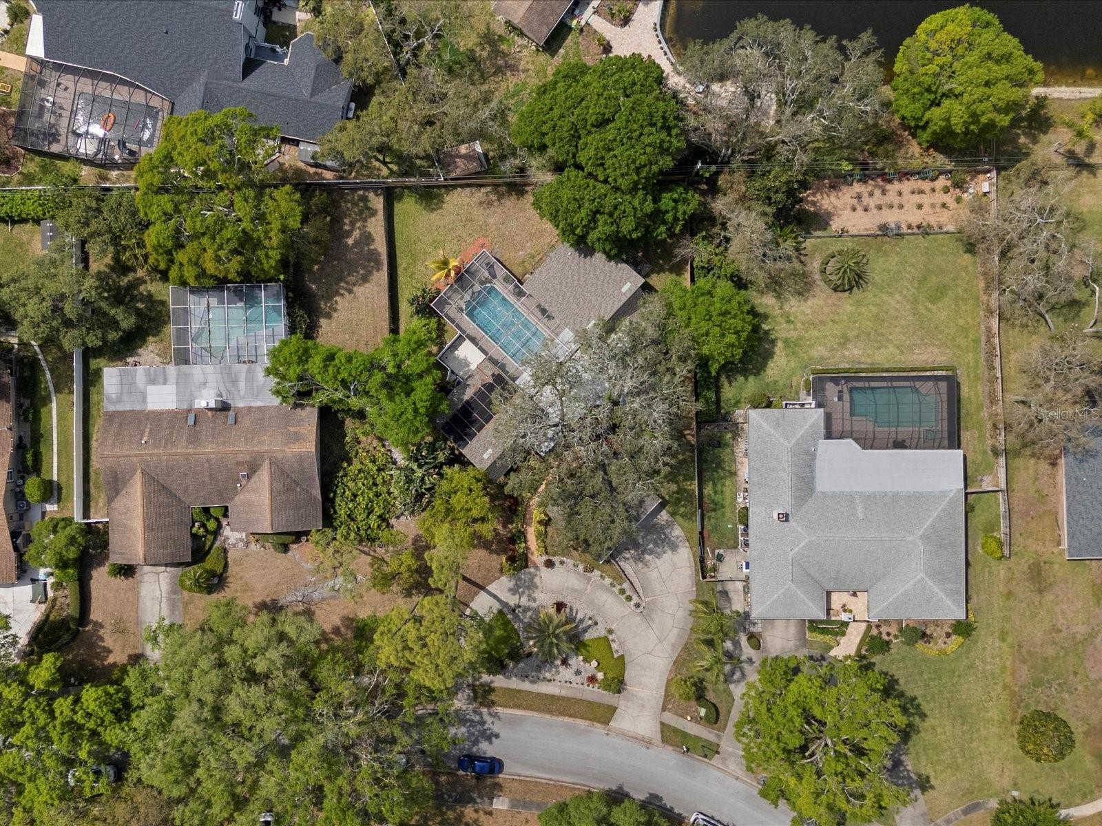 2860 BRIARWOOD LN, PALM HARBOR, FL, 34683