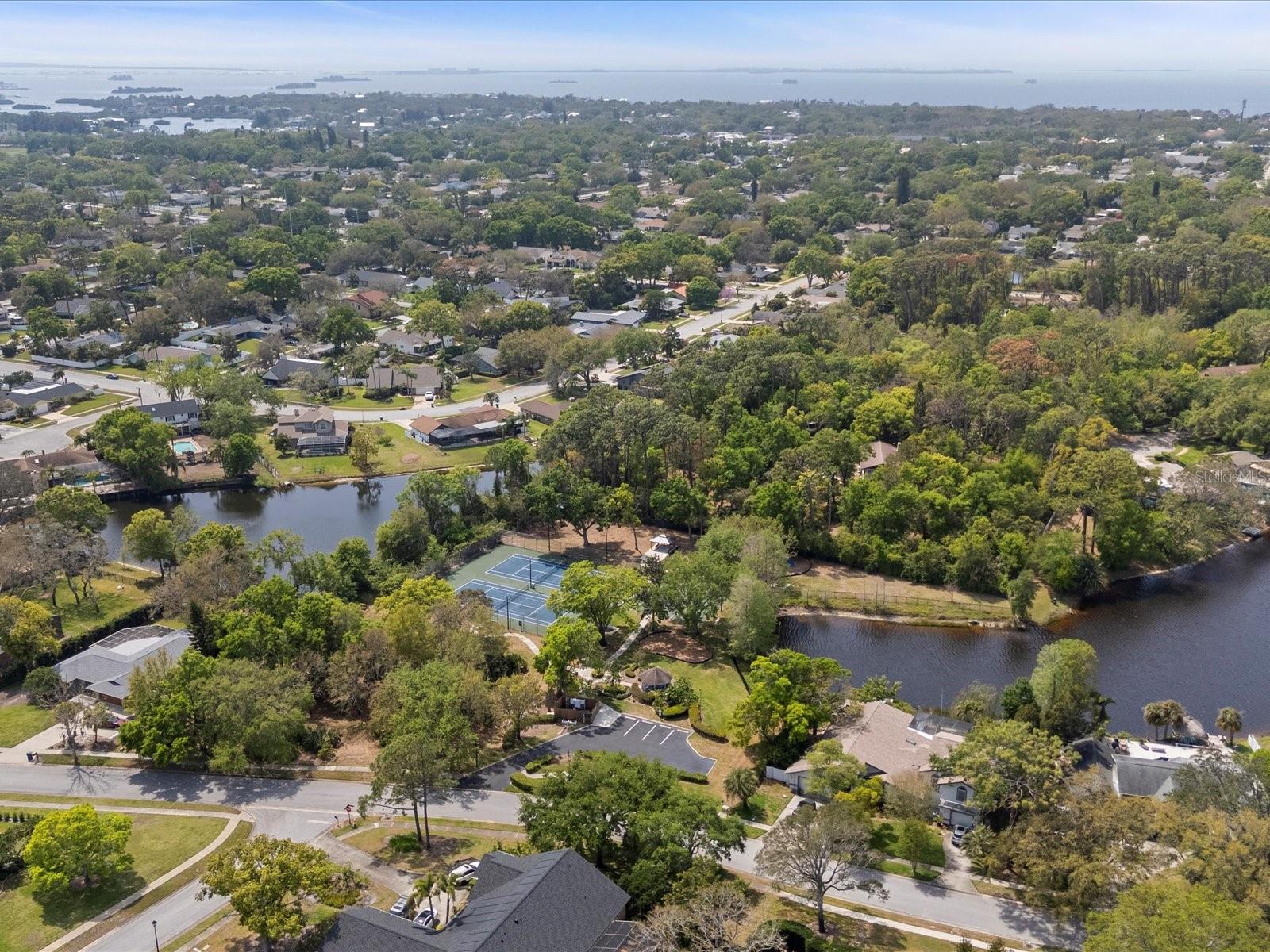 2860 BRIARWOOD LN, PALM HARBOR, FL, 34683