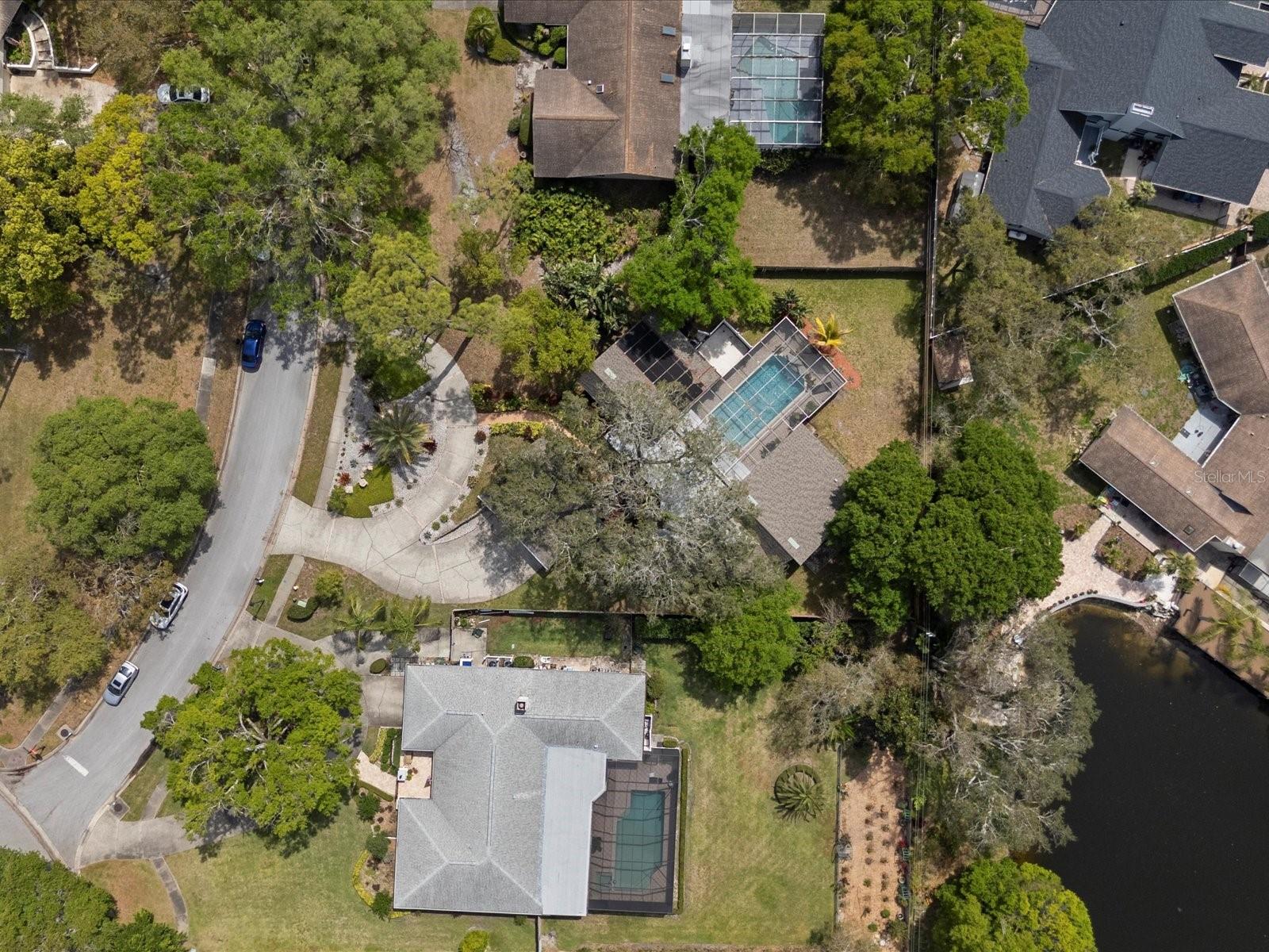 2860 BRIARWOOD LN, PALM HARBOR, FL, 34683