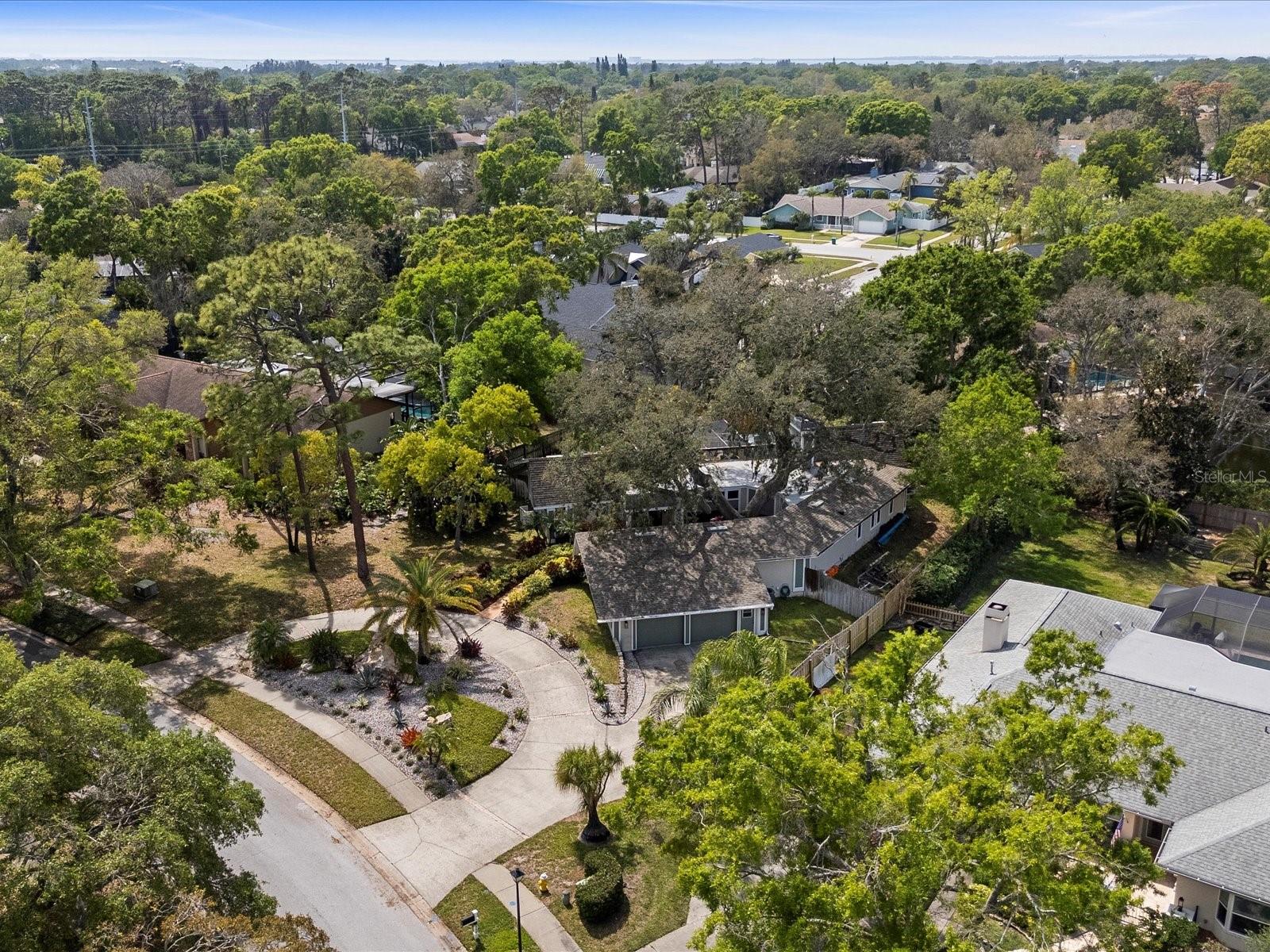 2860 BRIARWOOD LN, PALM HARBOR, FL, 34683