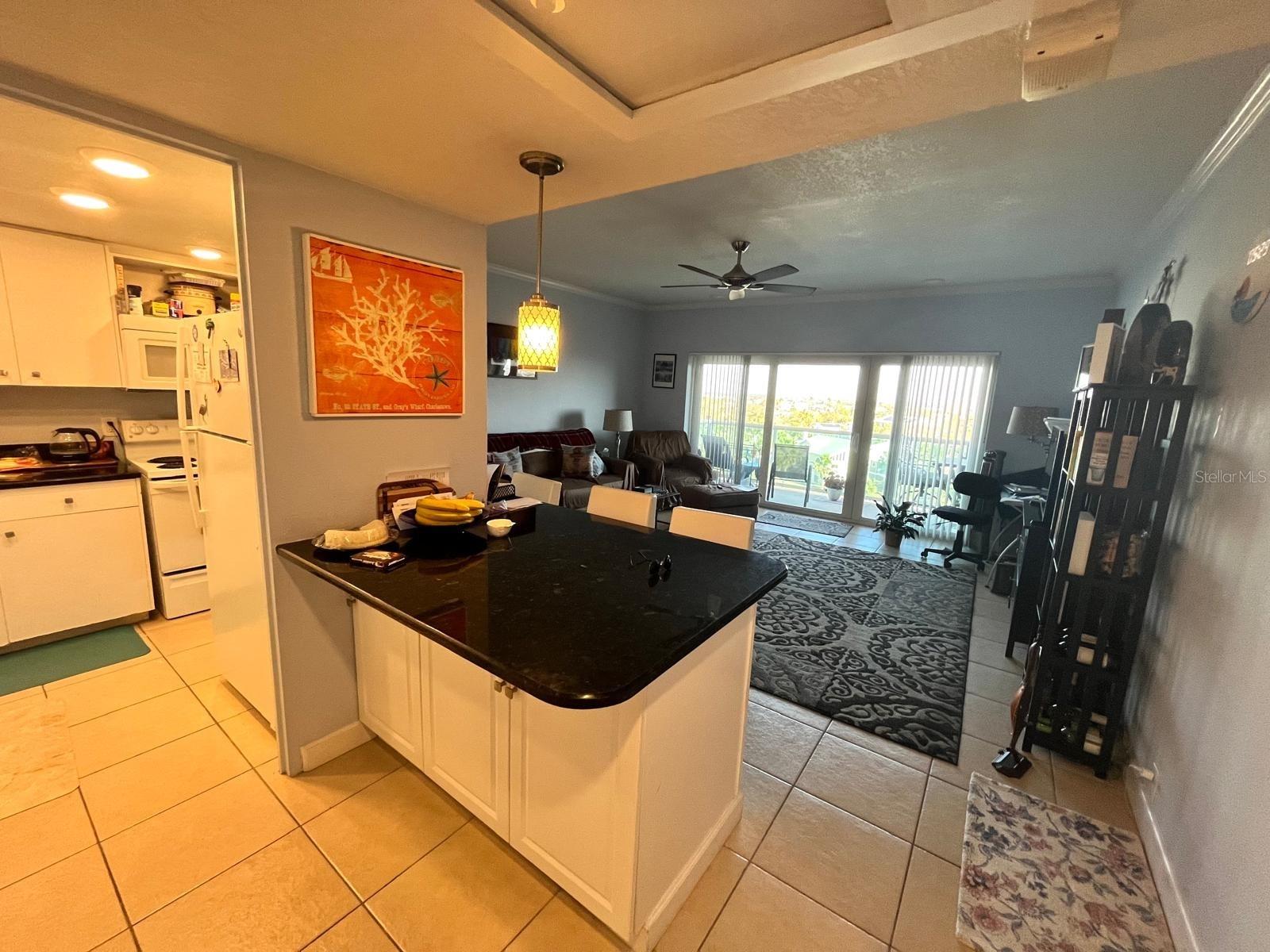 880 MANDALAY AVE #S514, CLEARWATER BEACH, FL, 33767