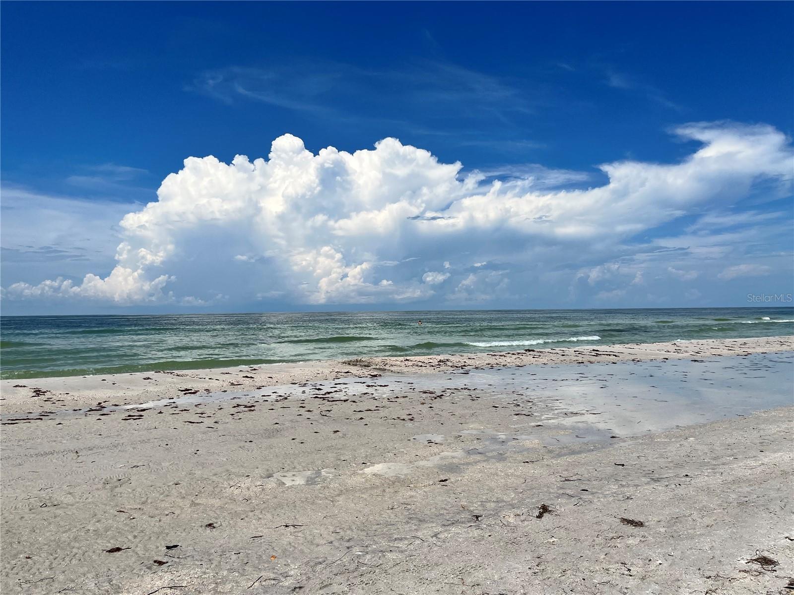 880 MANDALAY AVE #S514, CLEARWATER BEACH, FL, 33767