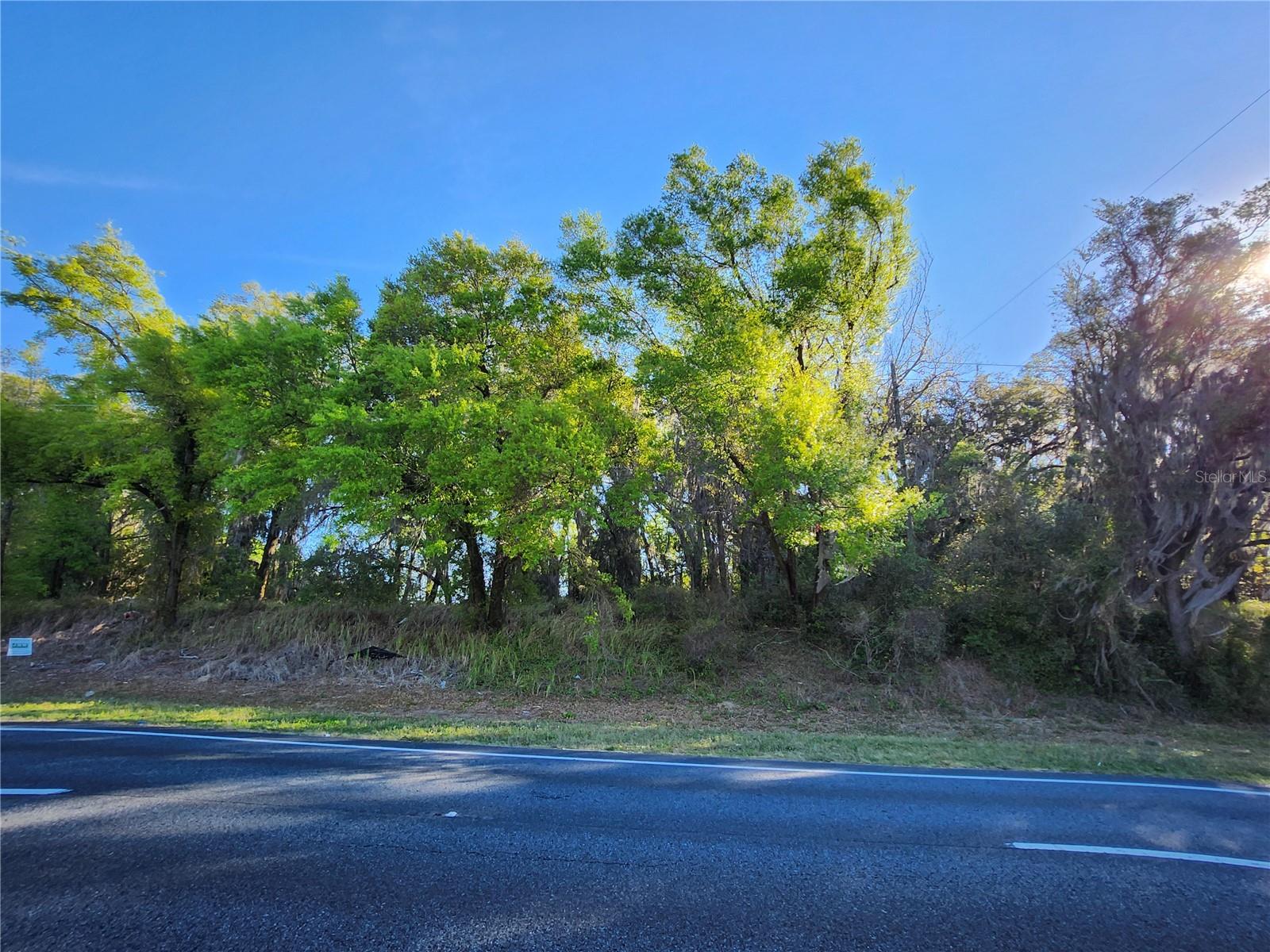 TBD US HWY 441/27, SUMMERFIELD, FL, 34491