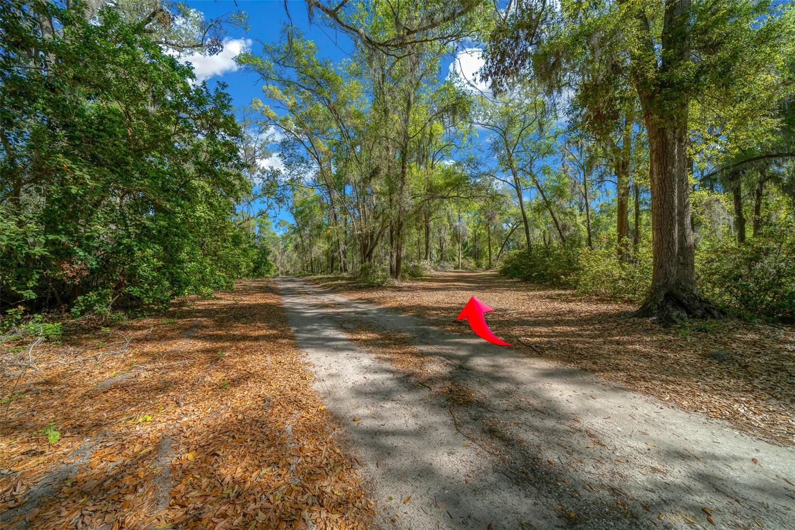 39636 CAROLINA AVE, LADY LAKE, FL, 32159