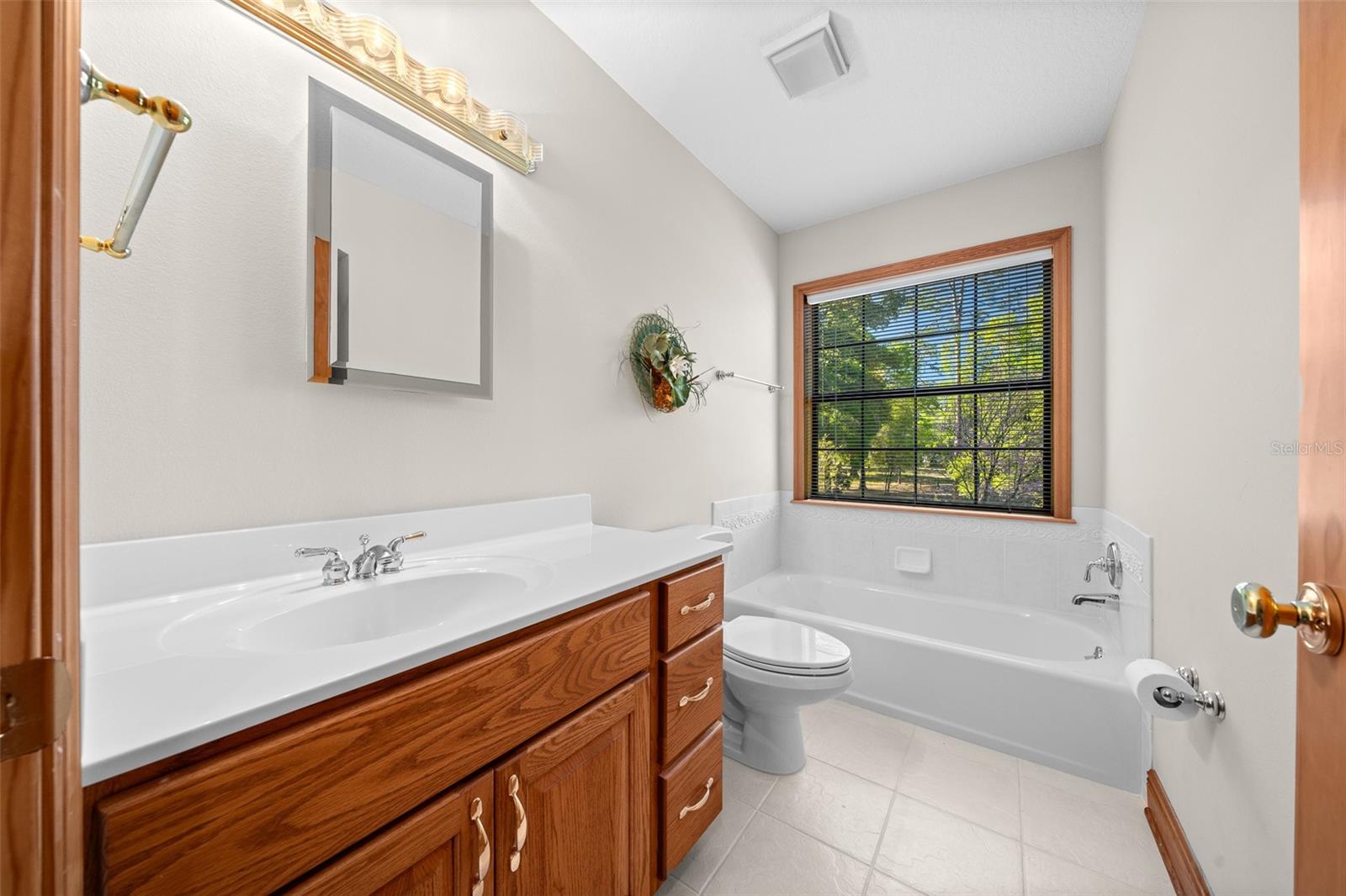 39636 CAROLINA AVE, LADY LAKE, FL, 32159