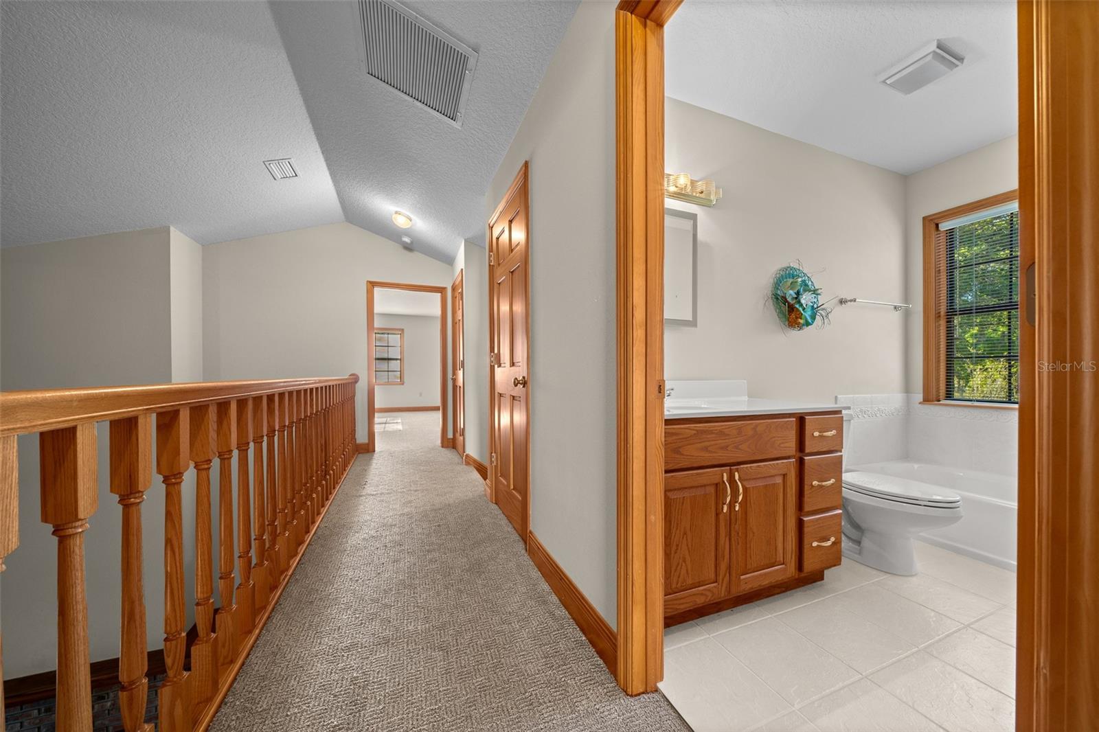 39636 CAROLINA AVE, LADY LAKE, FL, 32159