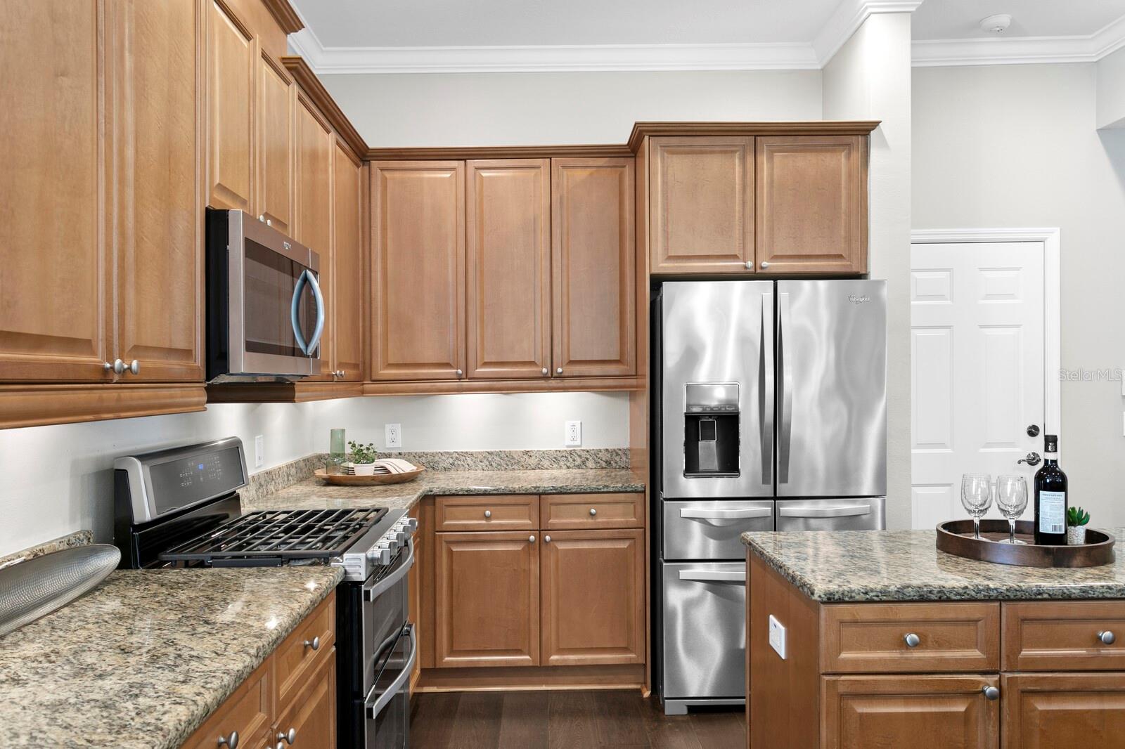 14849 TUDOR CHASE DR, TAMPA, FL, 33626