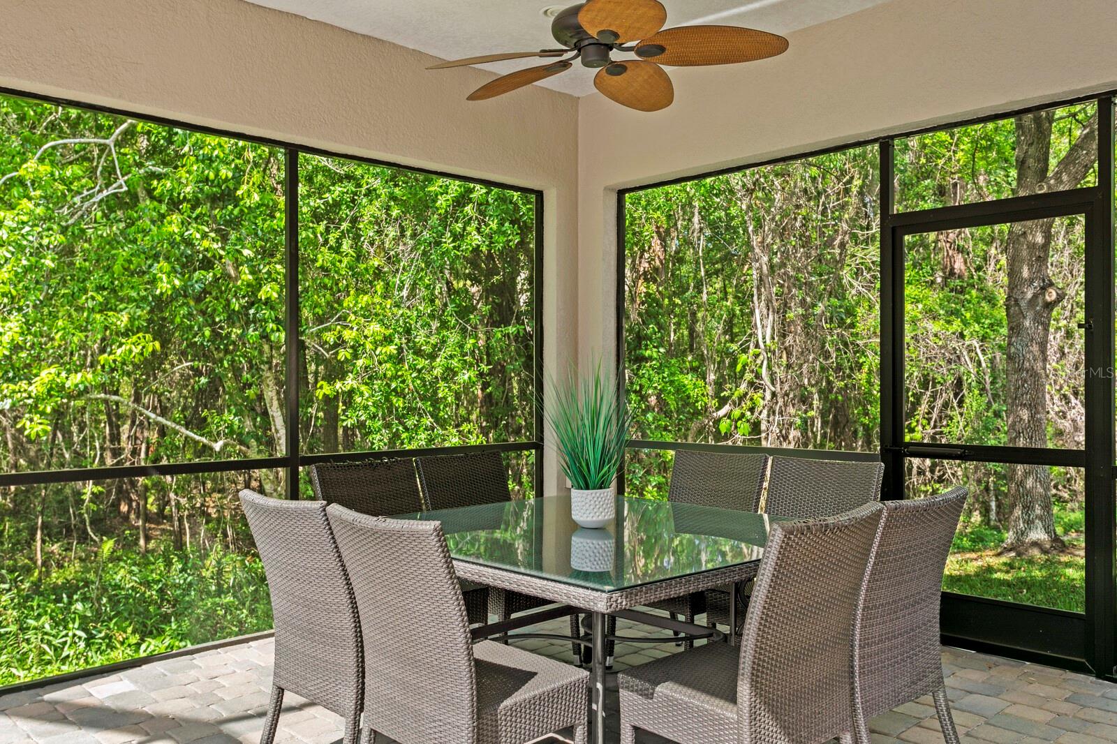 14849 TUDOR CHASE DR, TAMPA, FL, 33626