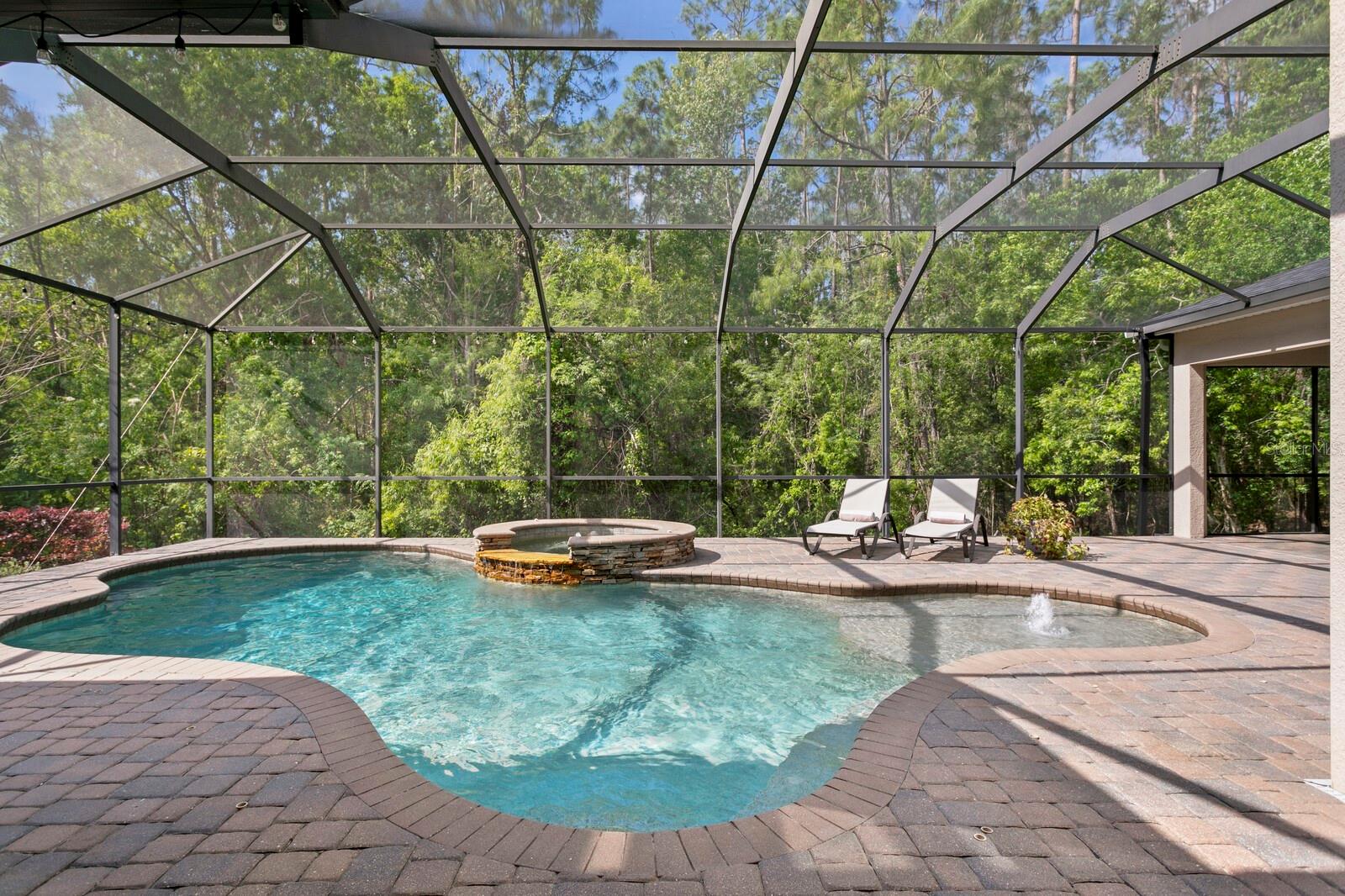 14849 TUDOR CHASE DR, TAMPA, FL, 33626