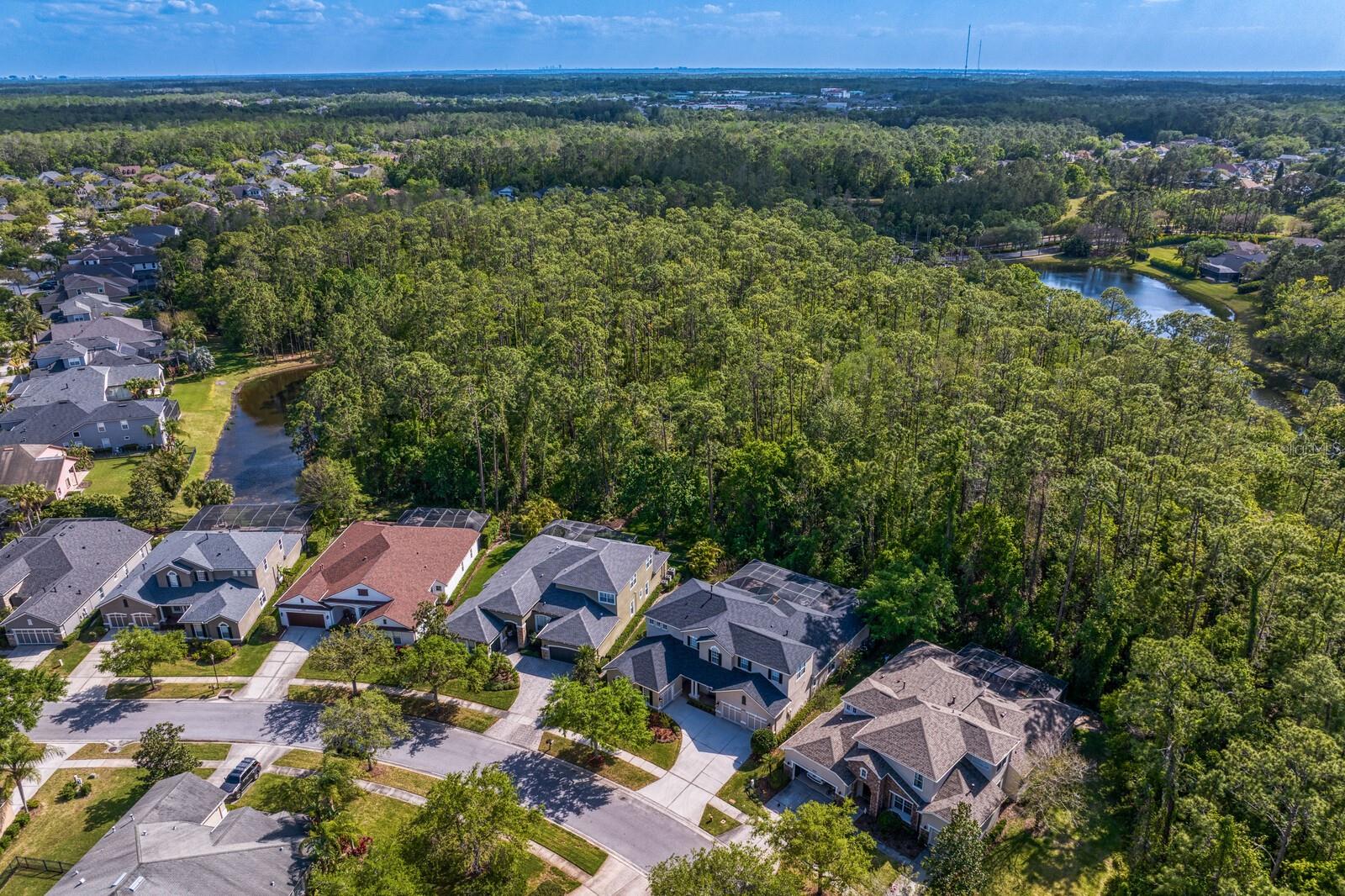 14849 TUDOR CHASE DR, TAMPA, FL, 33626