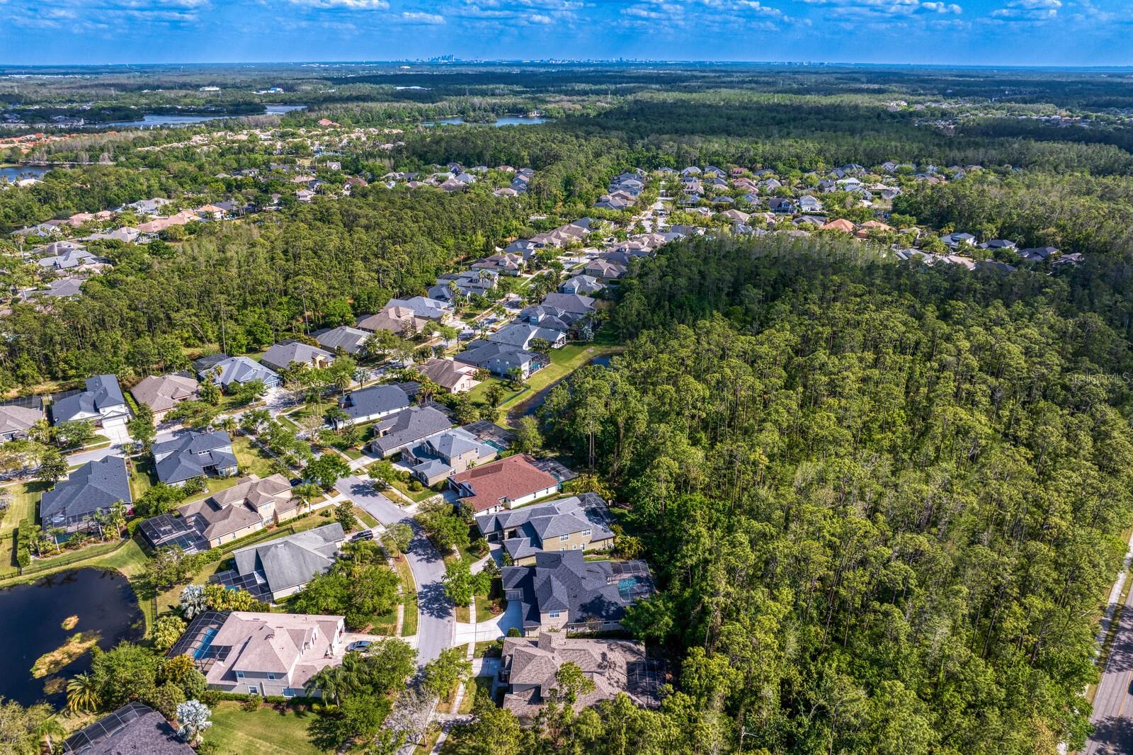 14849 TUDOR CHASE DR, TAMPA, FL, 33626