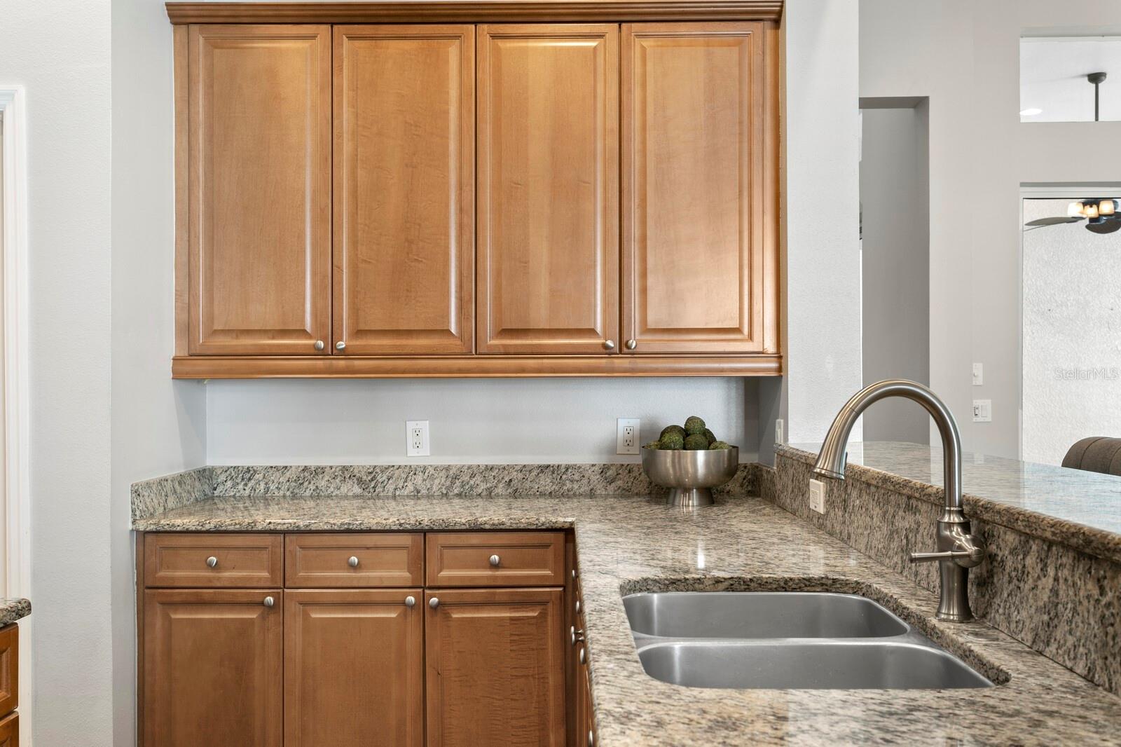 14849 TUDOR CHASE DR, TAMPA, FL, 33626