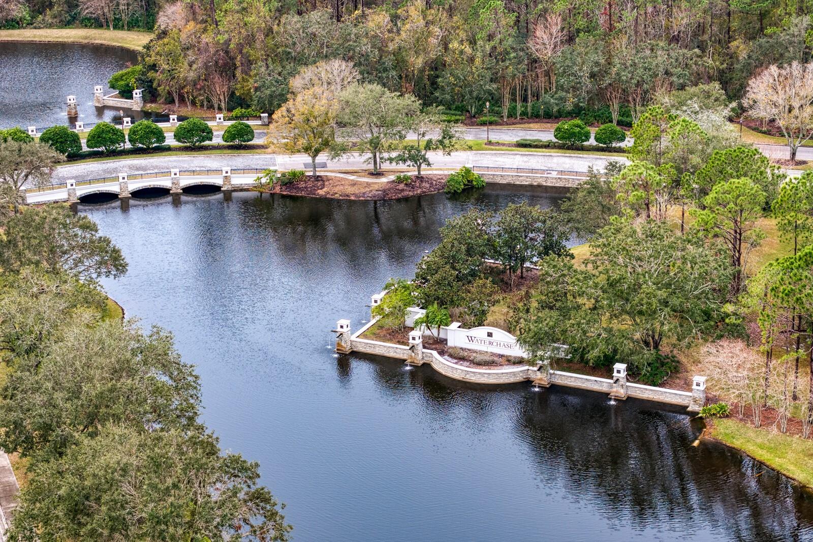 14849 TUDOR CHASE DR, TAMPA, FL, 33626