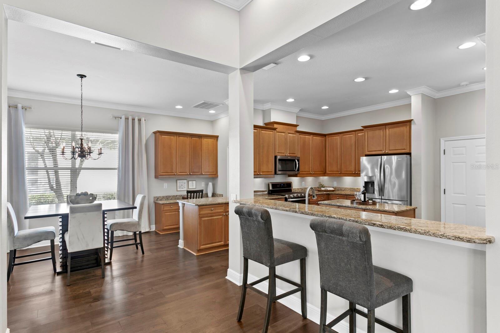 14849 TUDOR CHASE DR, TAMPA, FL, 33626