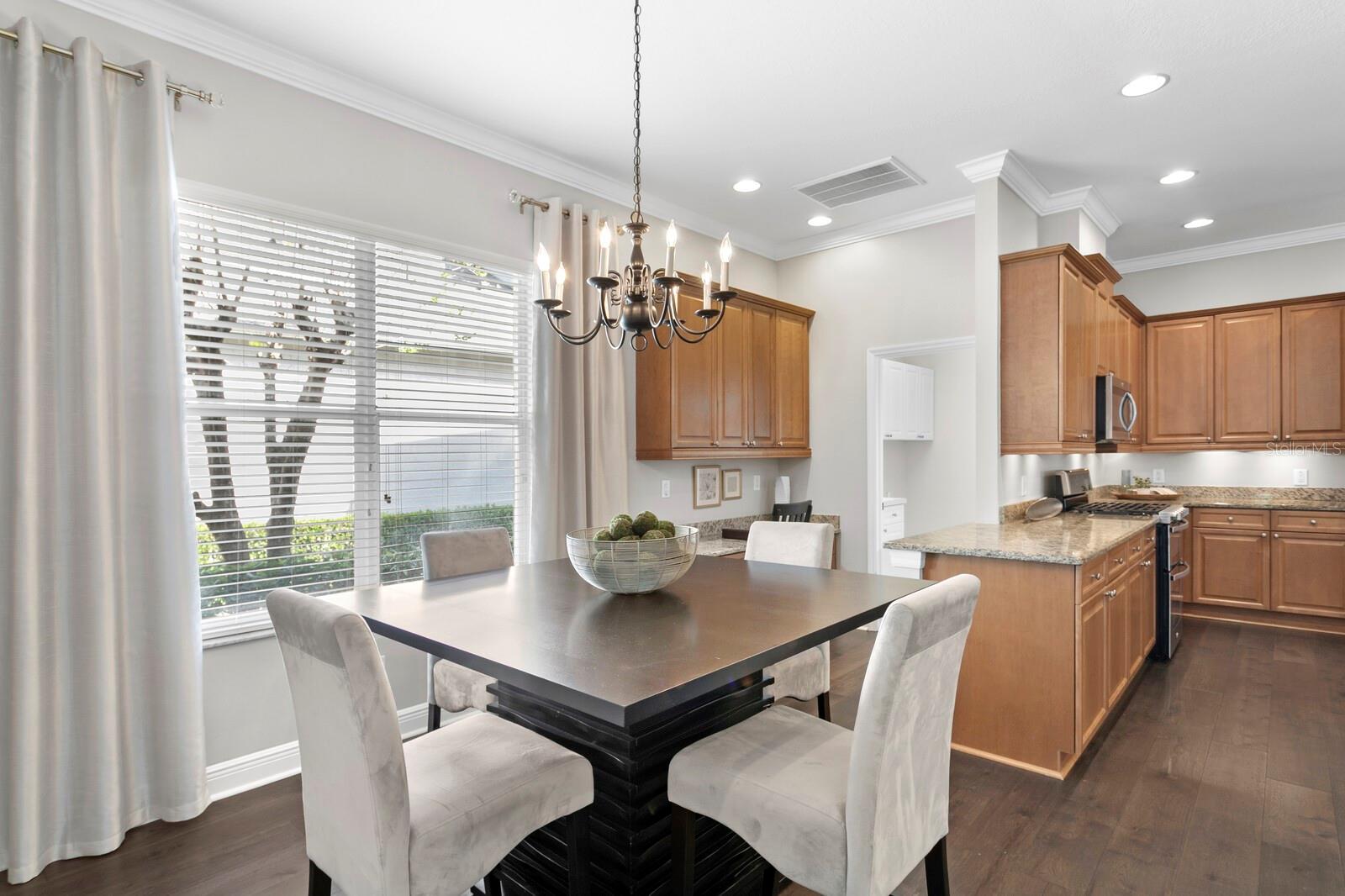 14849 TUDOR CHASE DR, TAMPA, FL, 33626