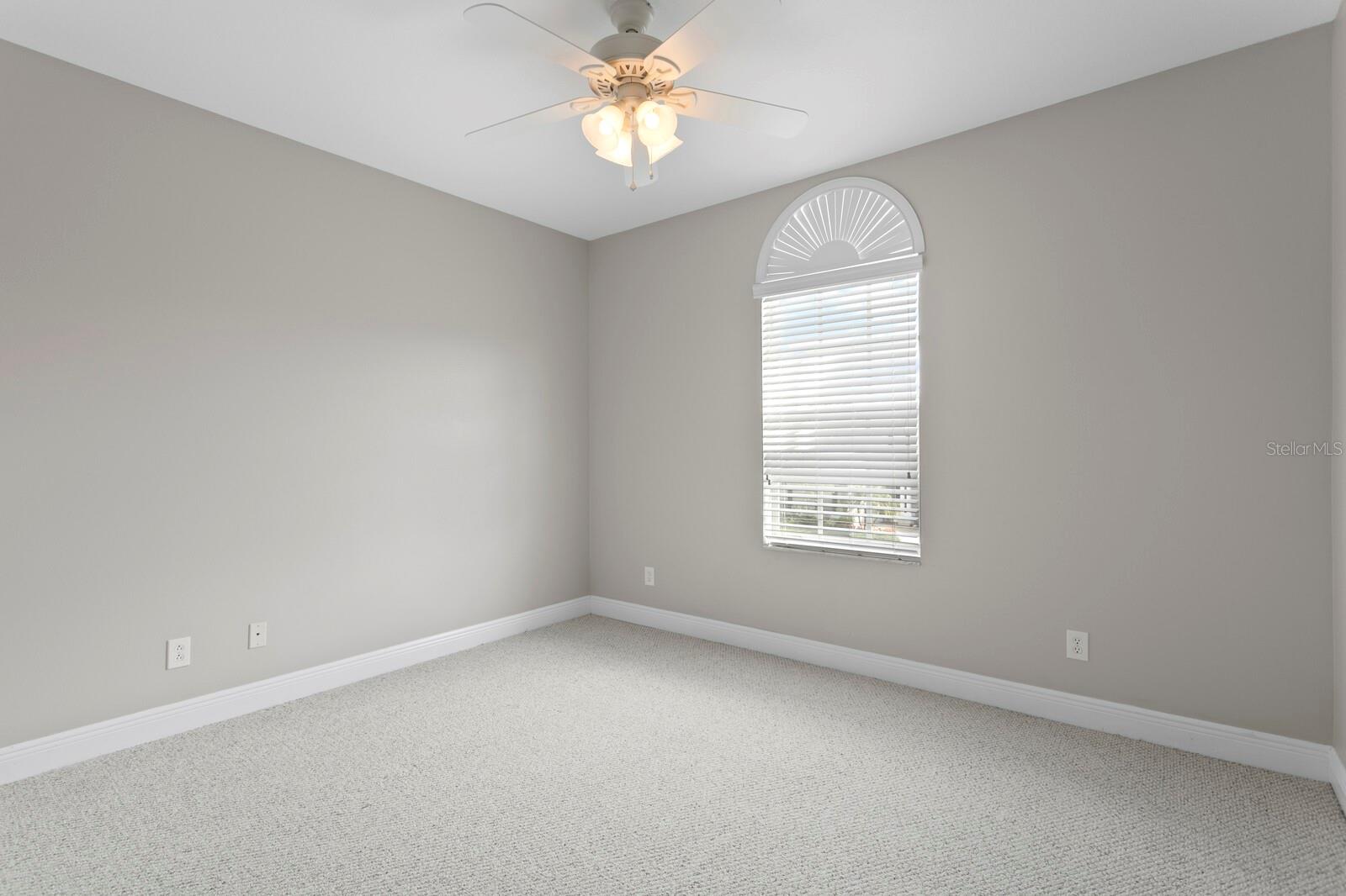 14849 TUDOR CHASE DR, TAMPA, FL, 33626