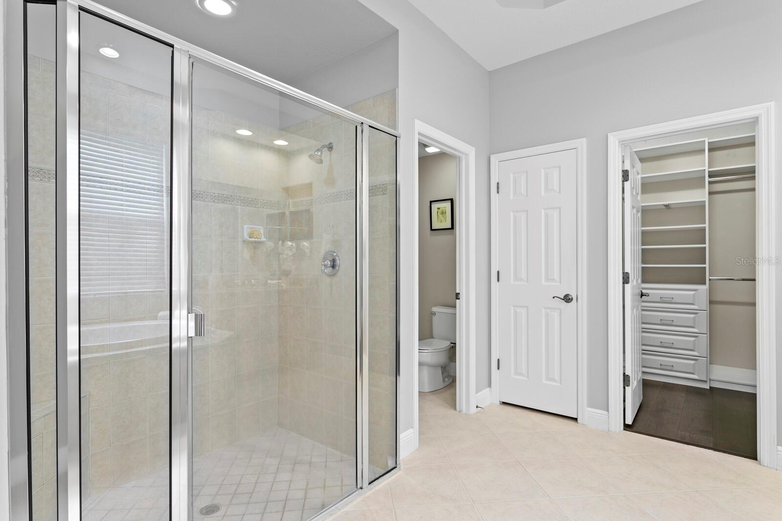 14849 TUDOR CHASE DR, TAMPA, FL, 33626